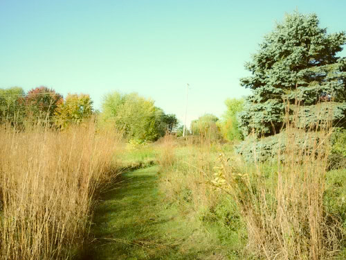 (Photo by Chloe Caldwell)