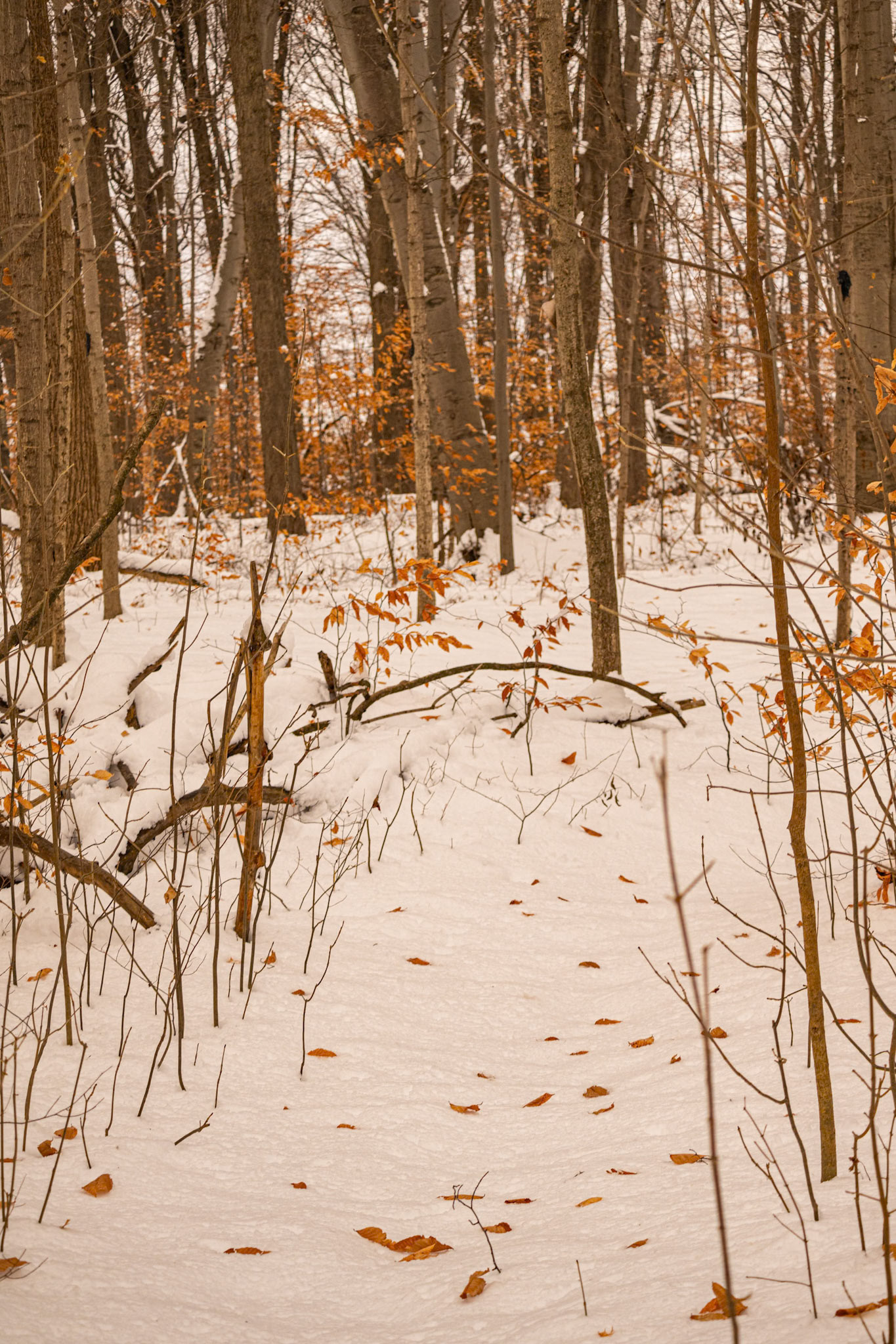 (Photo by Ashlyn Nichols)