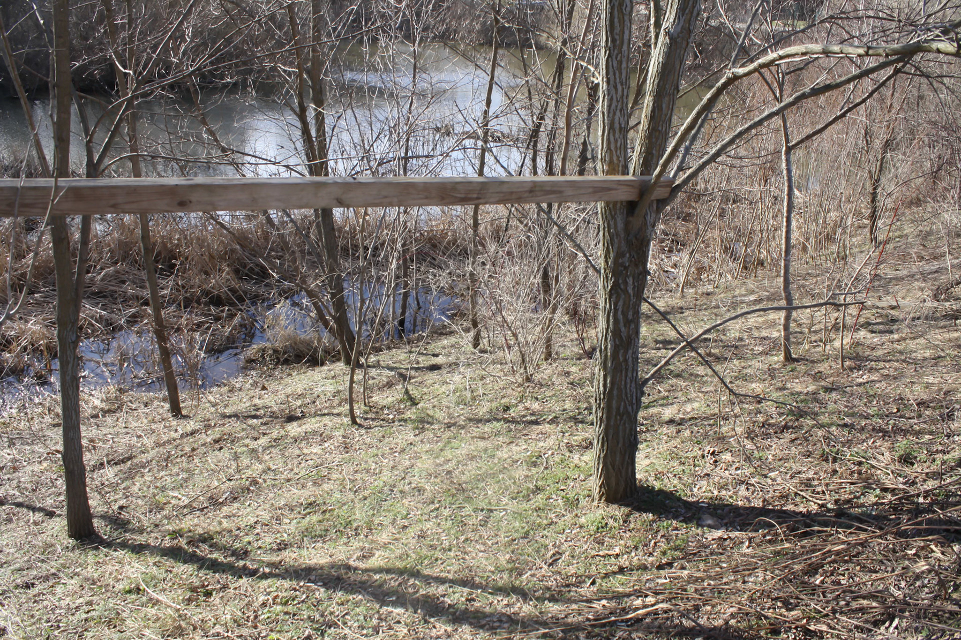 (Photo by Owen Bennett)