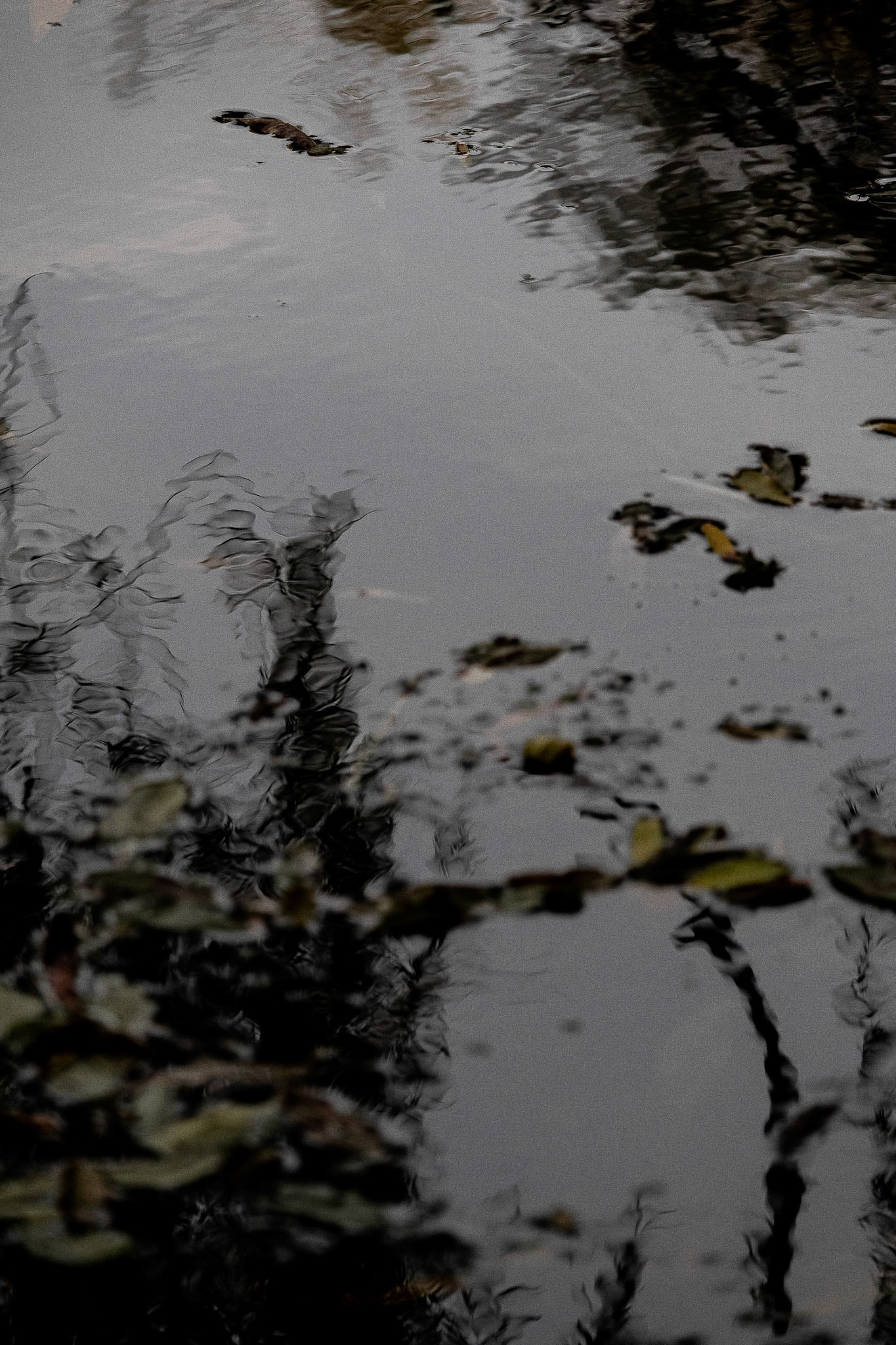 (Photo by Aidan Cousineau)