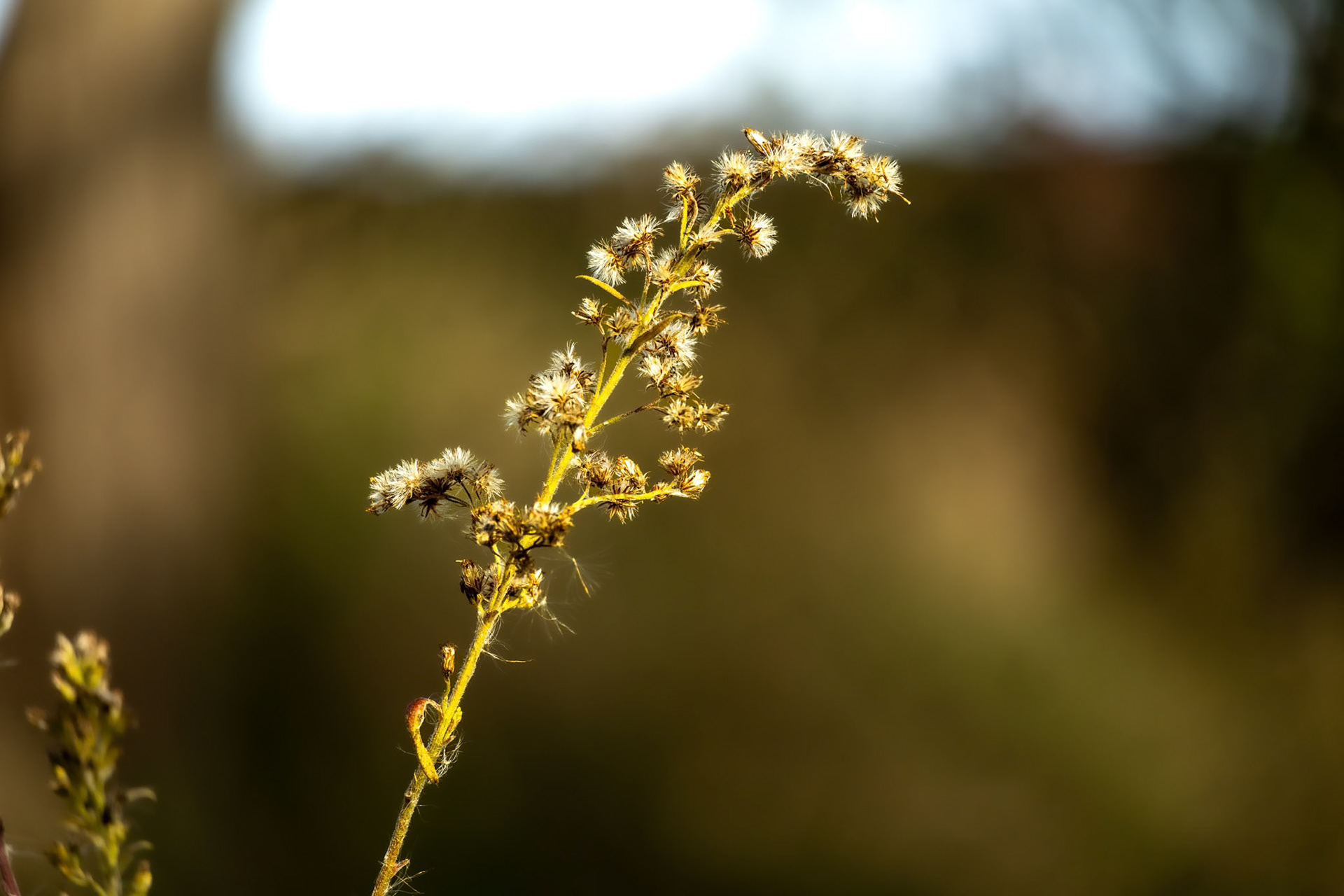 (Photo by Owen Rounds)