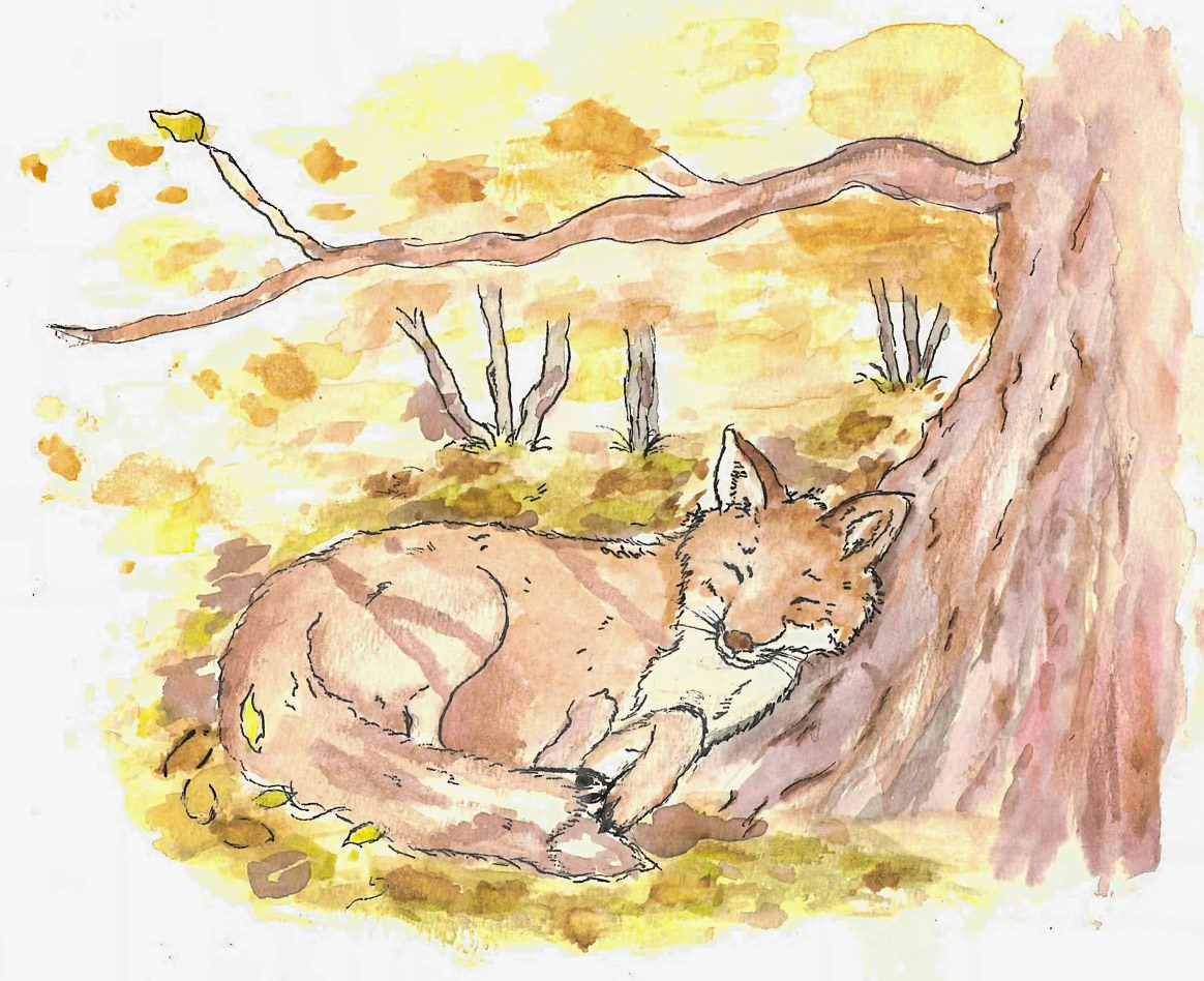 Ink and Watercolor (Anna Garcia)