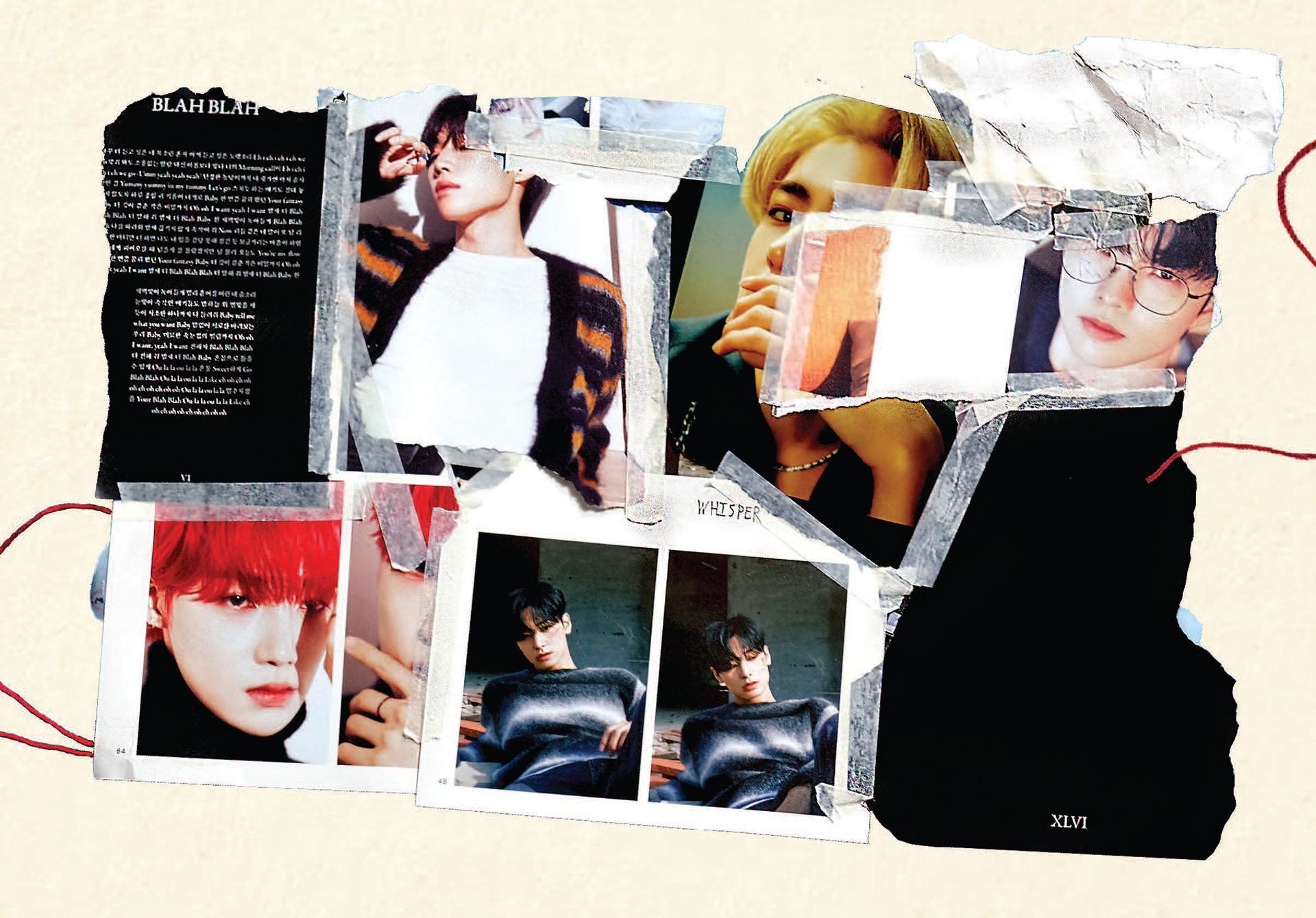 beauty of the back of the collage