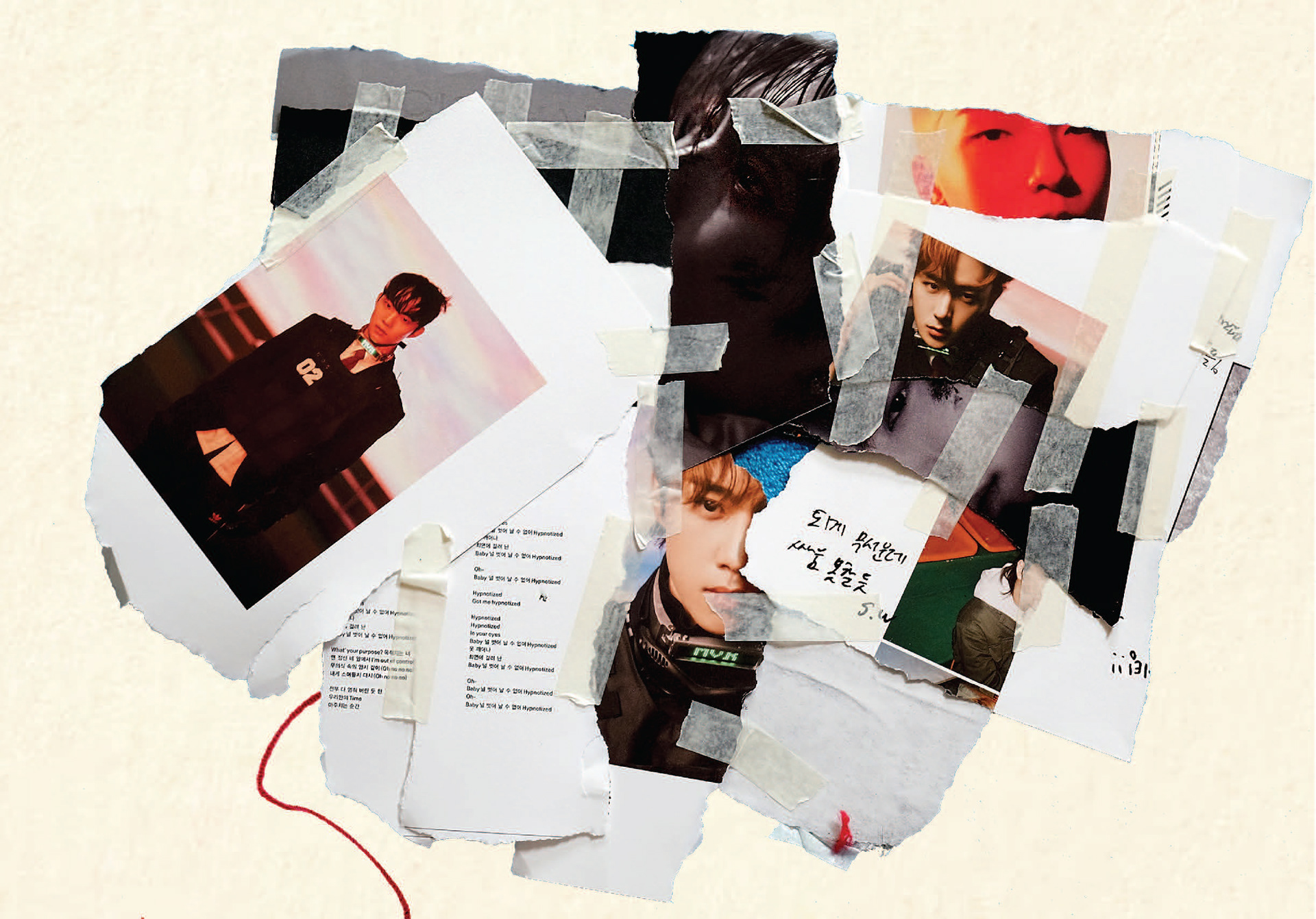 beauty of the back of the collage