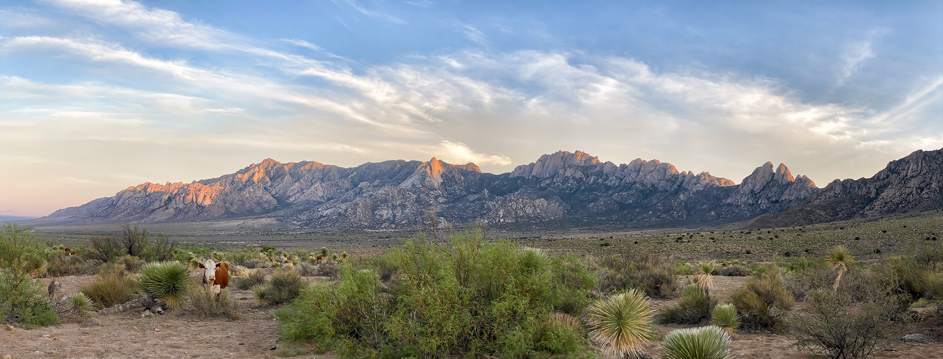 Aguirre Springs, Organ Mountains, New Mexico