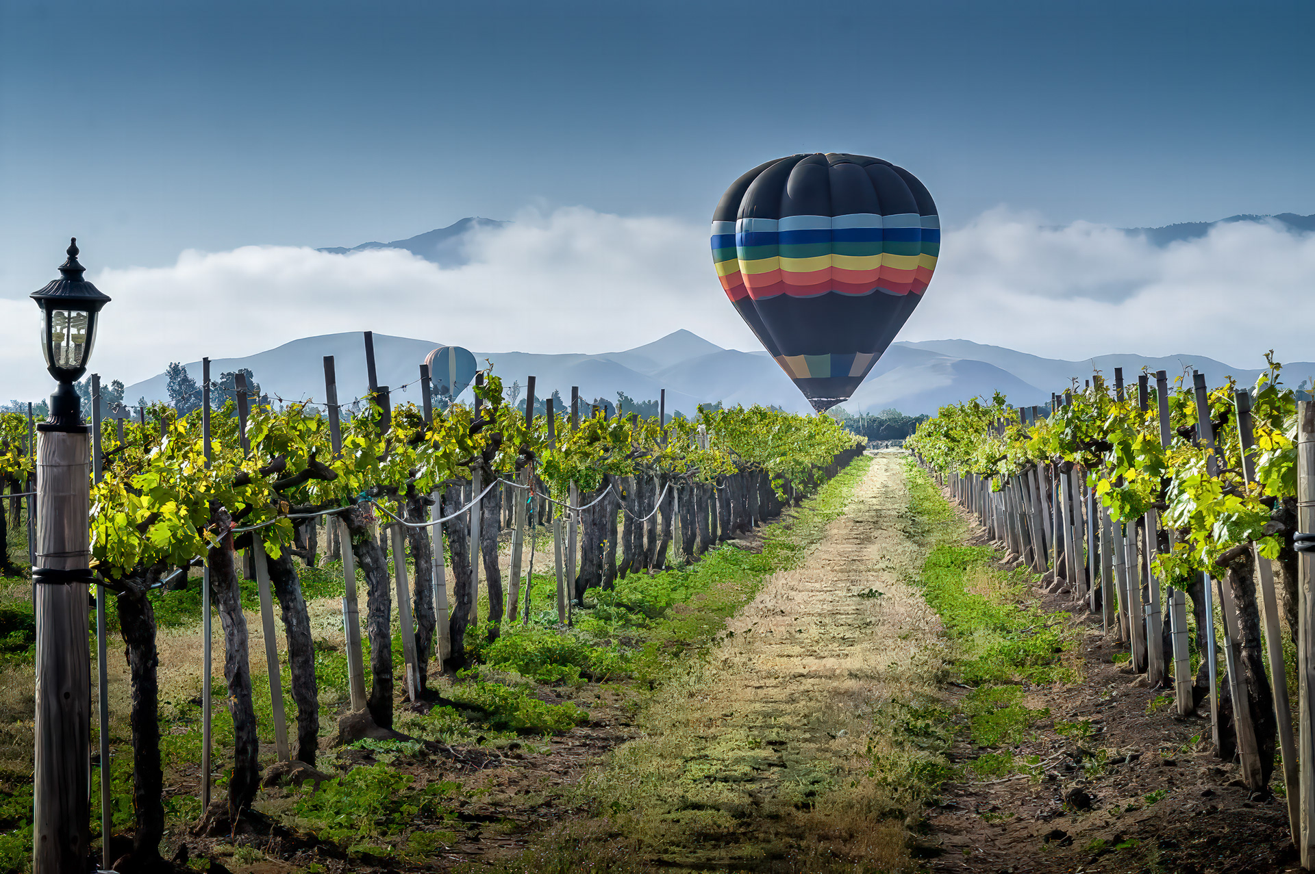 Temecula Wine Country