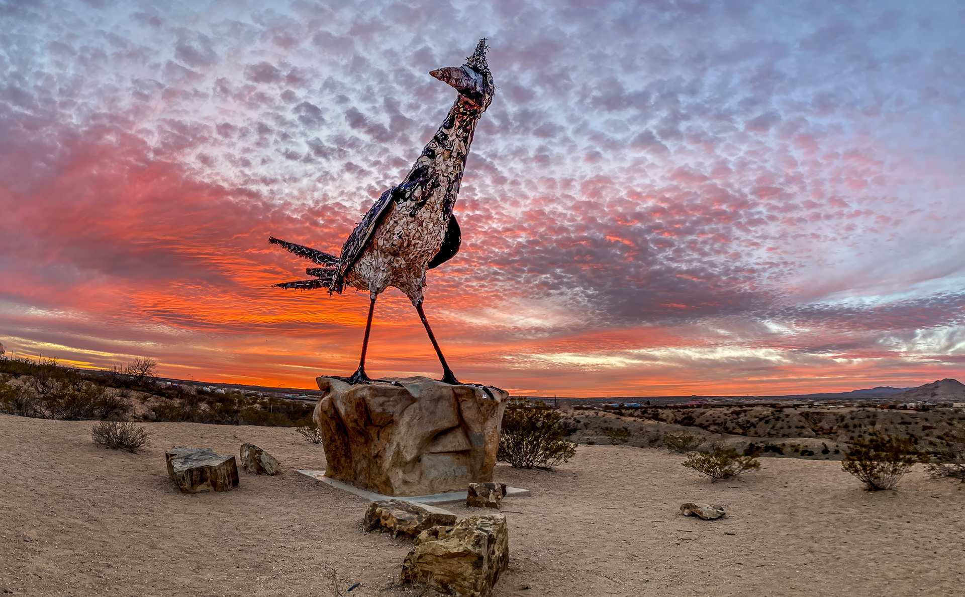 Roadrunner sculpture made of recycled materials, Las Cruces