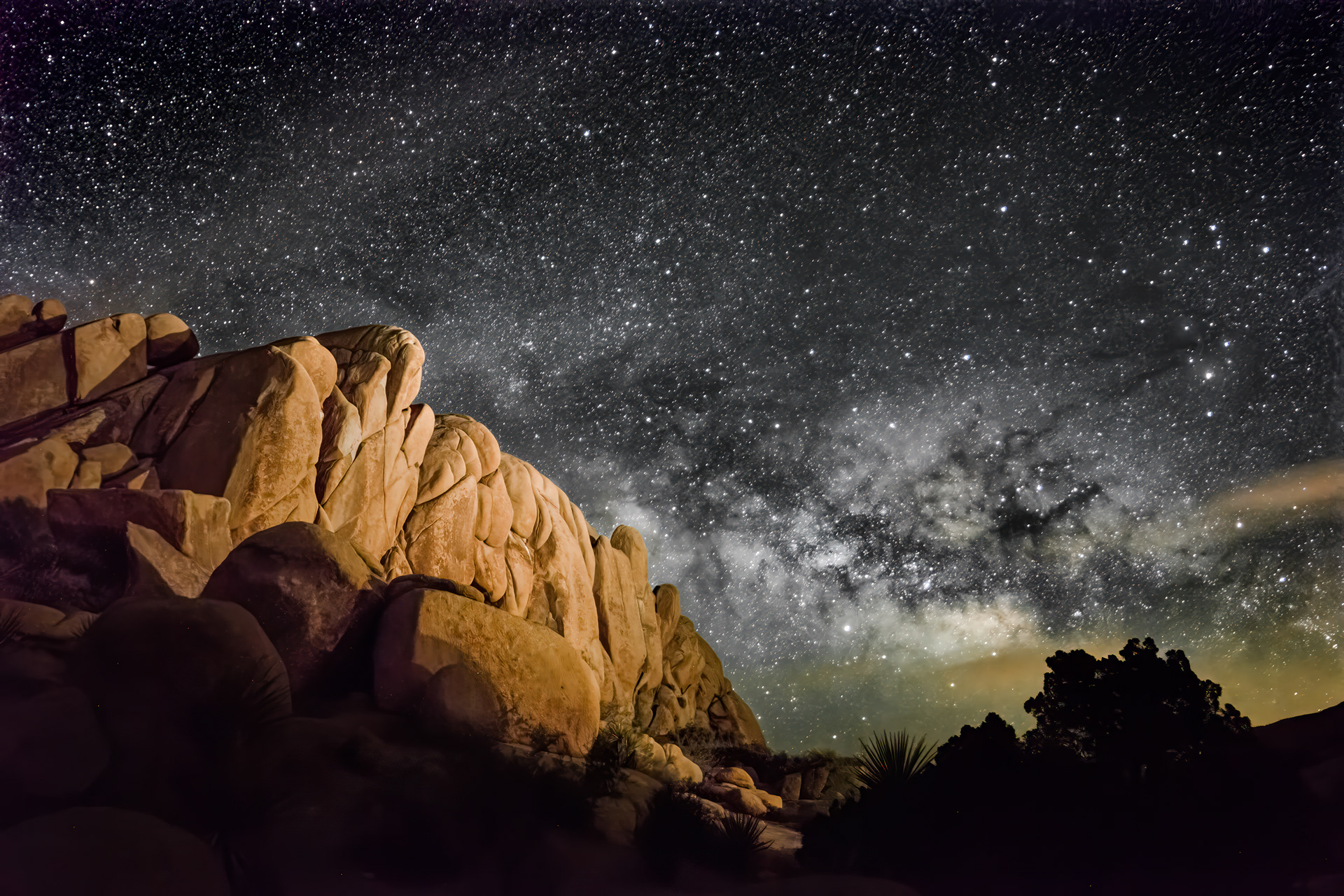 Joshua Tree National Park