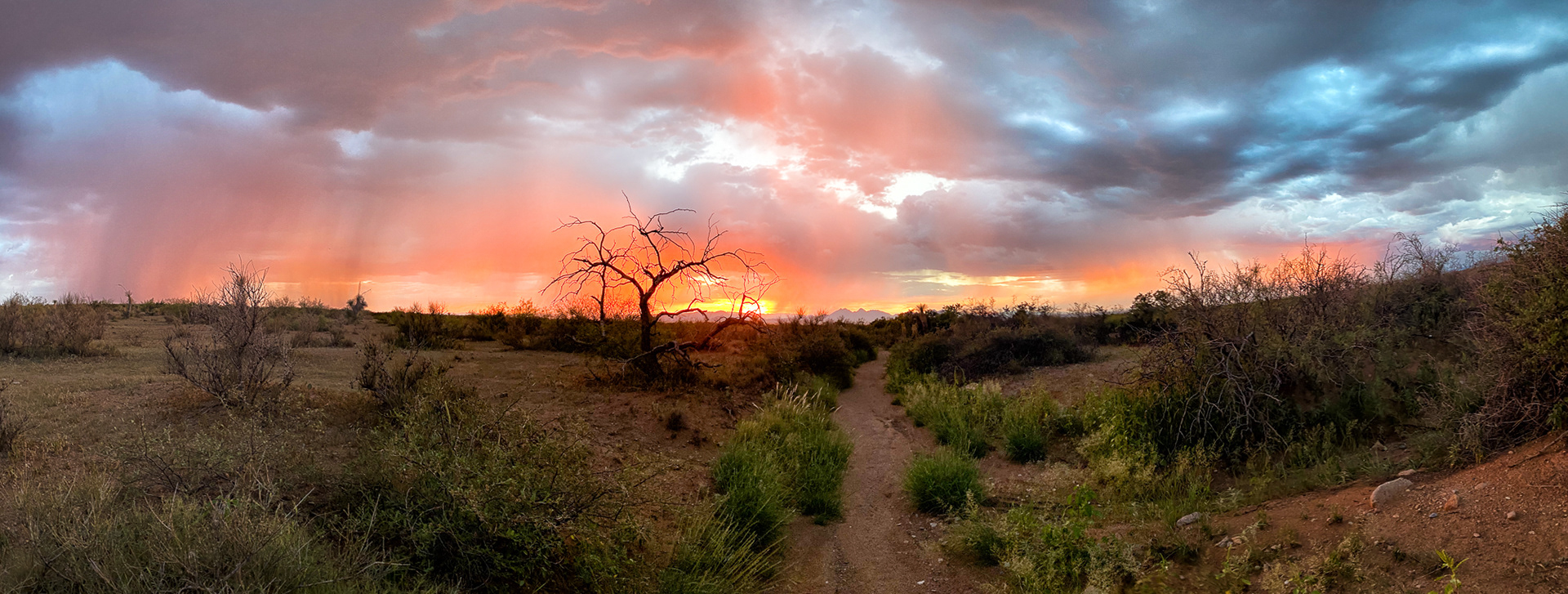 Sunset, Las Cruces, NM.