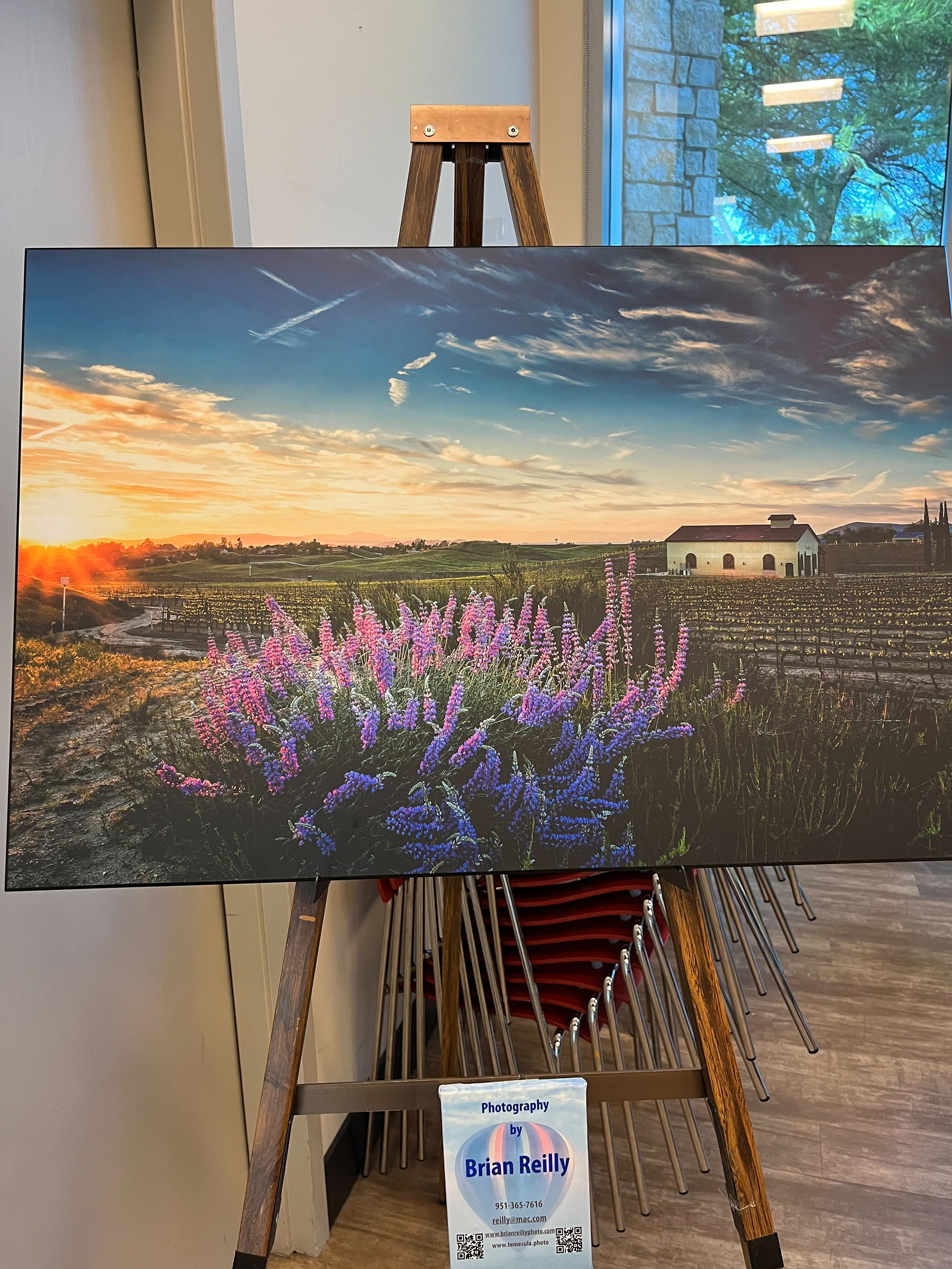 exhibit, Sun City library, June 2024