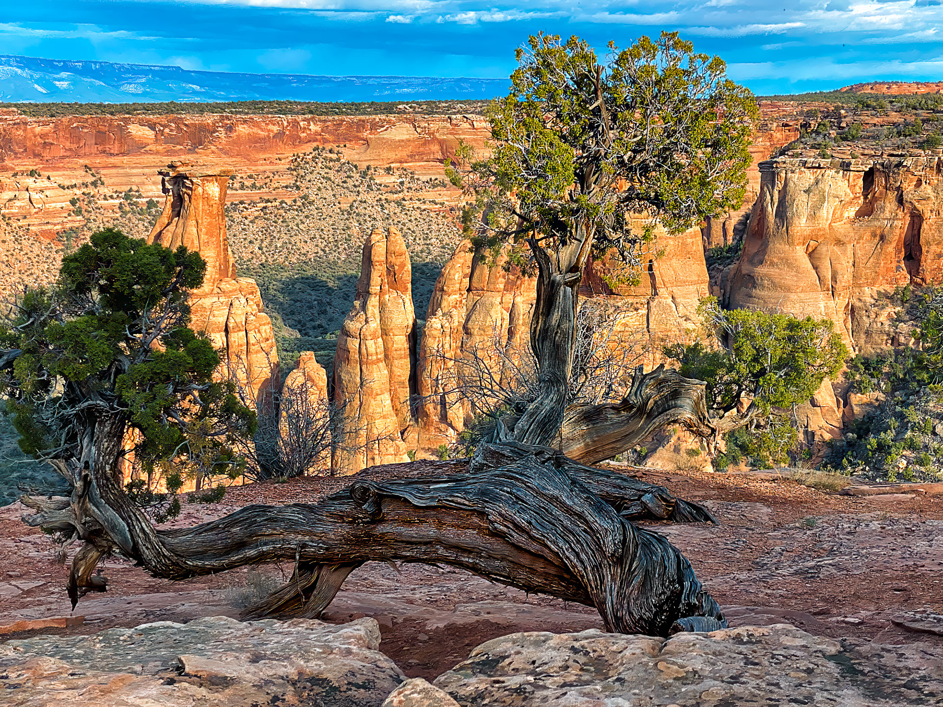 GRAND VIEW