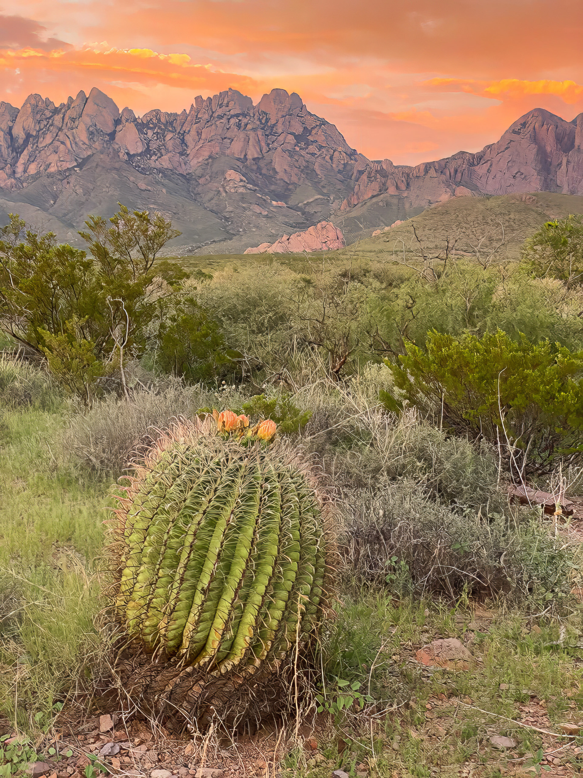 Organ Mountains, New Mexico