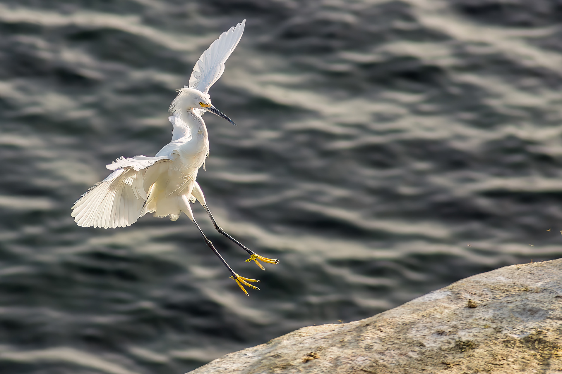 La Jolla Cove, San Diego, California