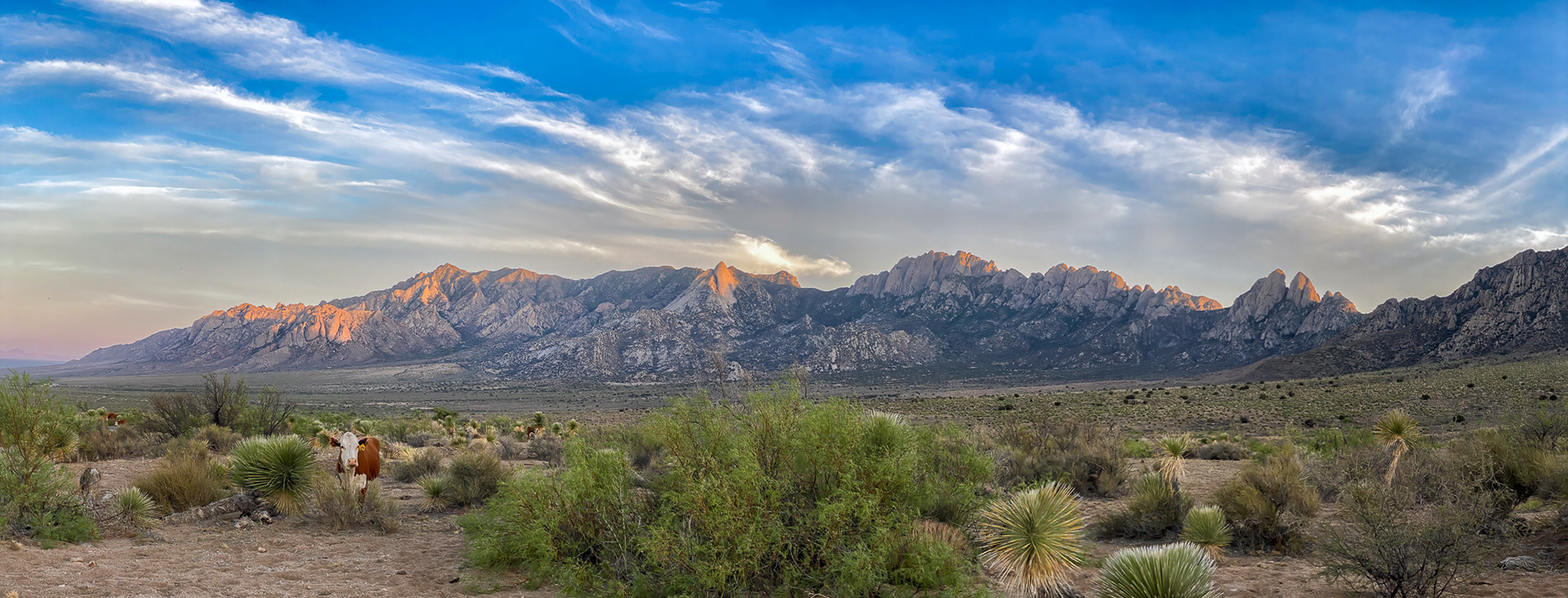 Aguirre Springs Recreation area, Organ Mountains Desert Peaks National Monument, New Mexico