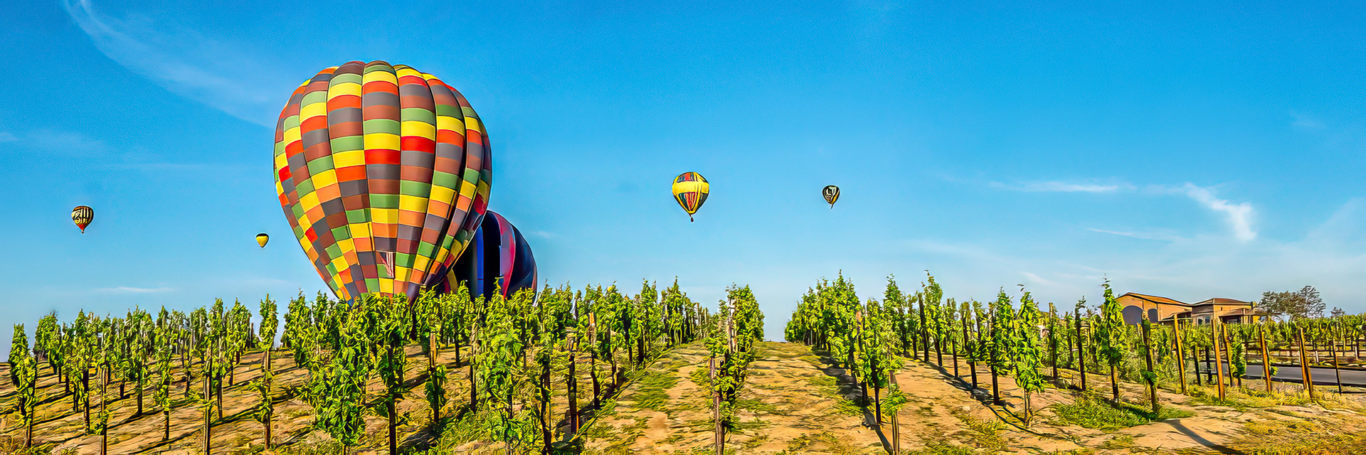 Monte De Oro WineryTemecula Wine Country