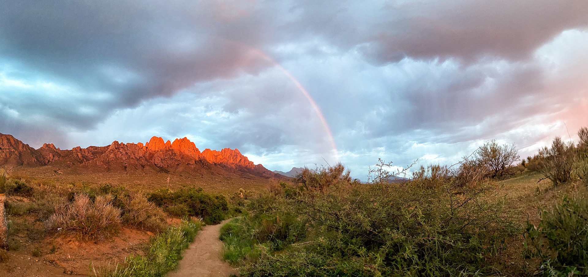 Rainbow over Organ Mountains