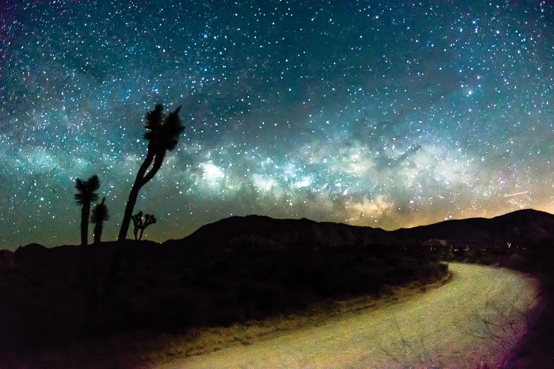Joshua Tree National Park