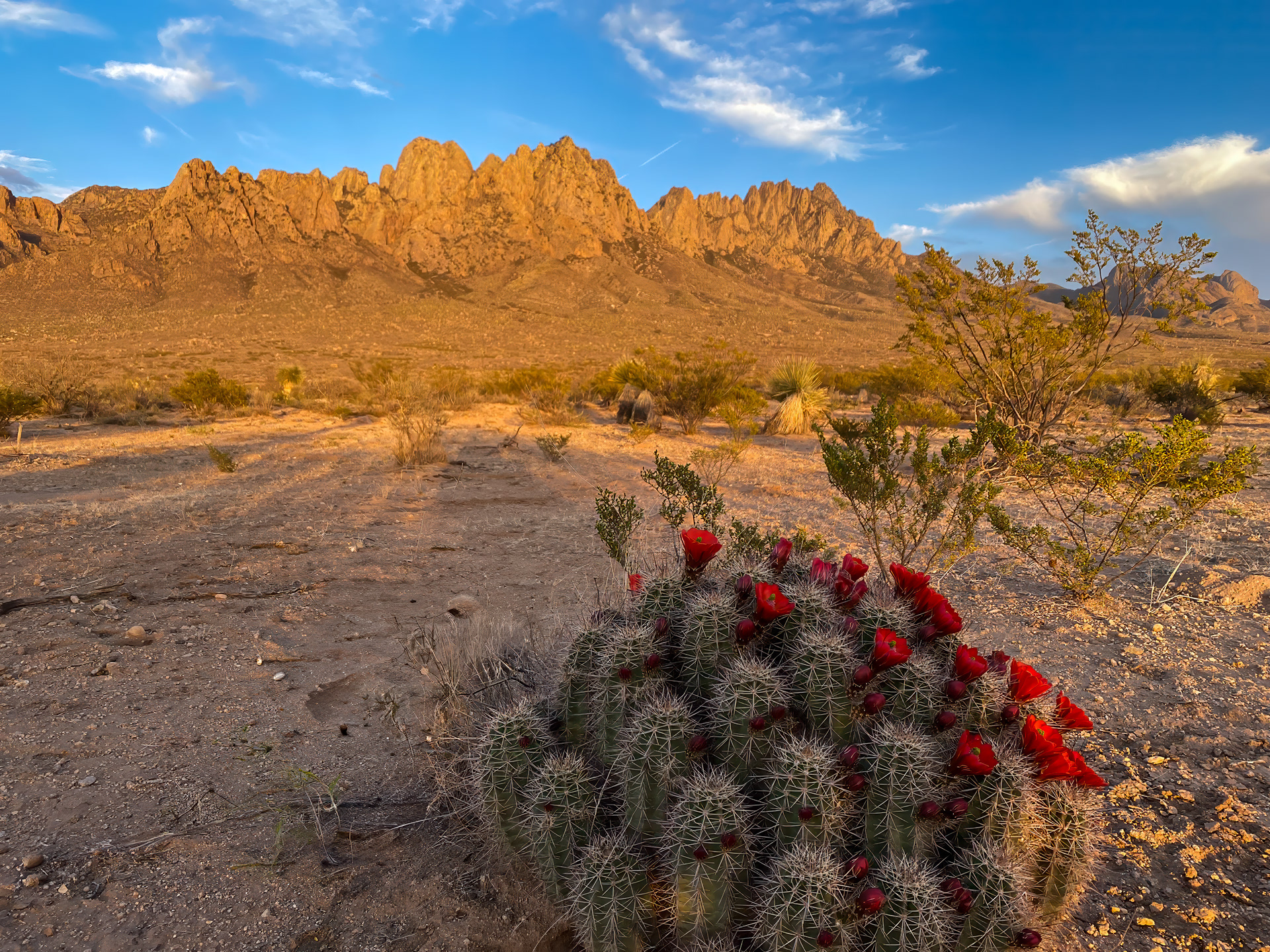 Organ Mountains, New Mexico