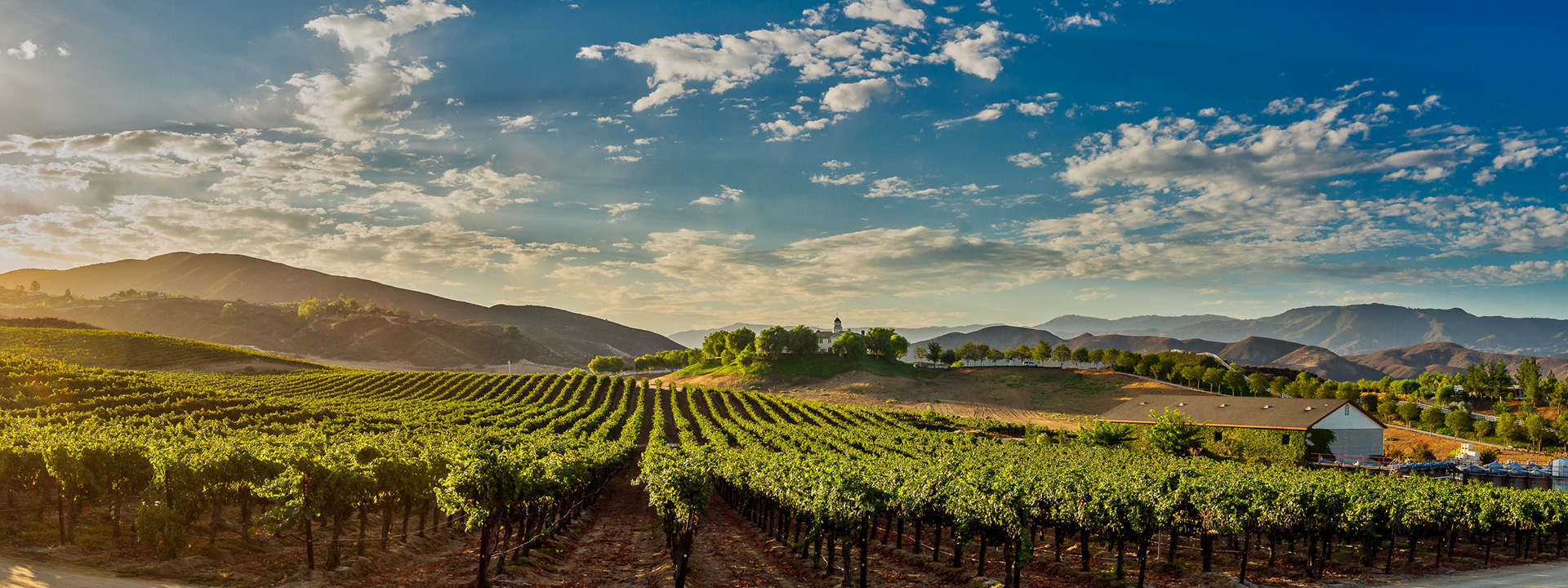 Leoness Vineyards, Temecula Wine Country
