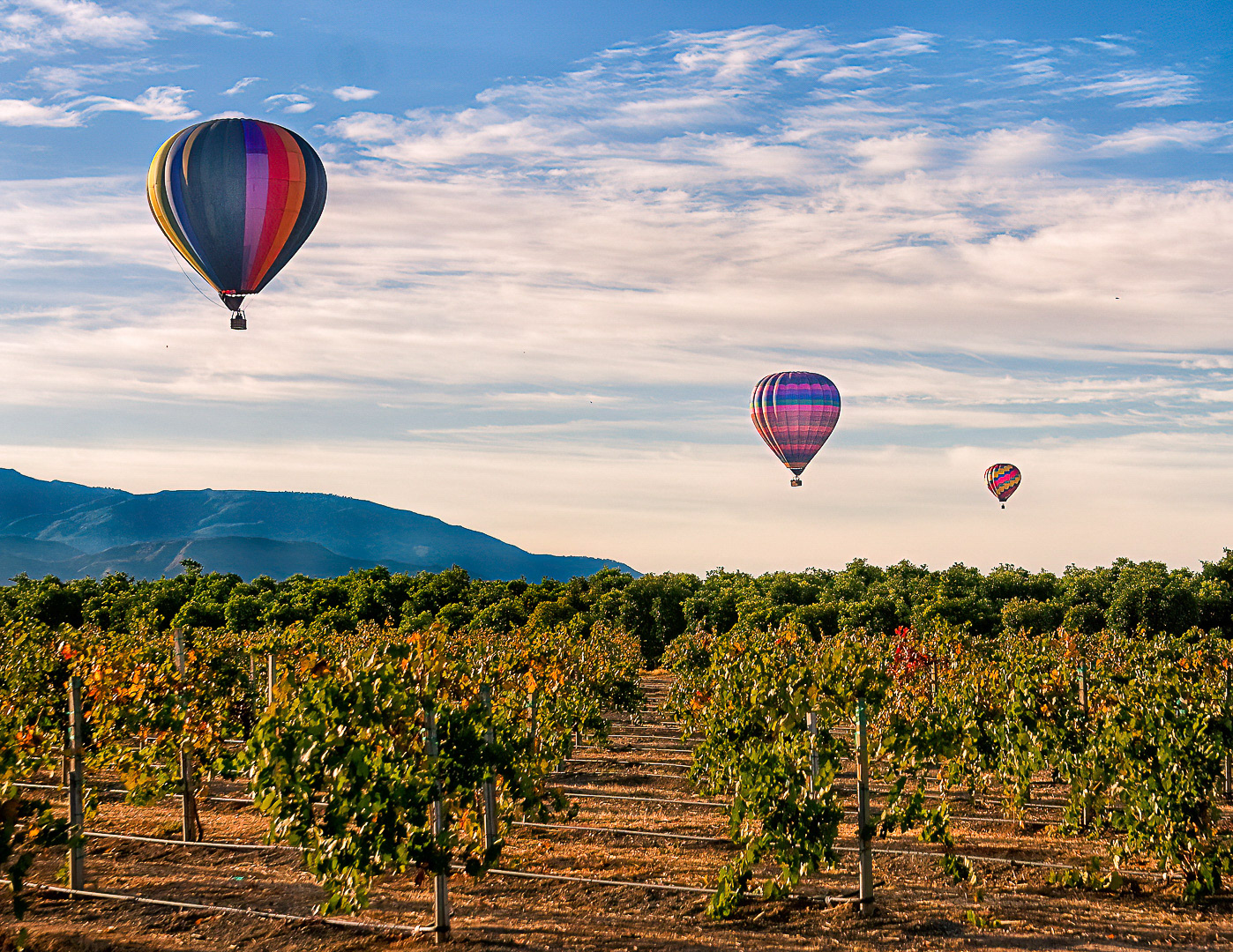 Temecula Wine Country
