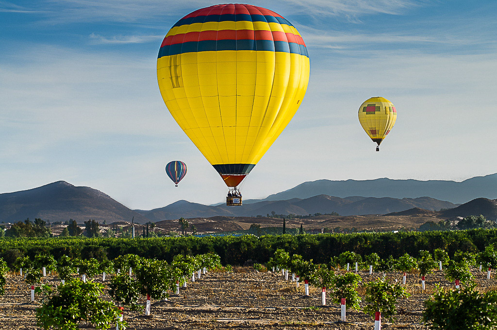 Temecula Wine Country