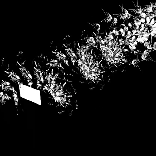 Spiral Section 3D View