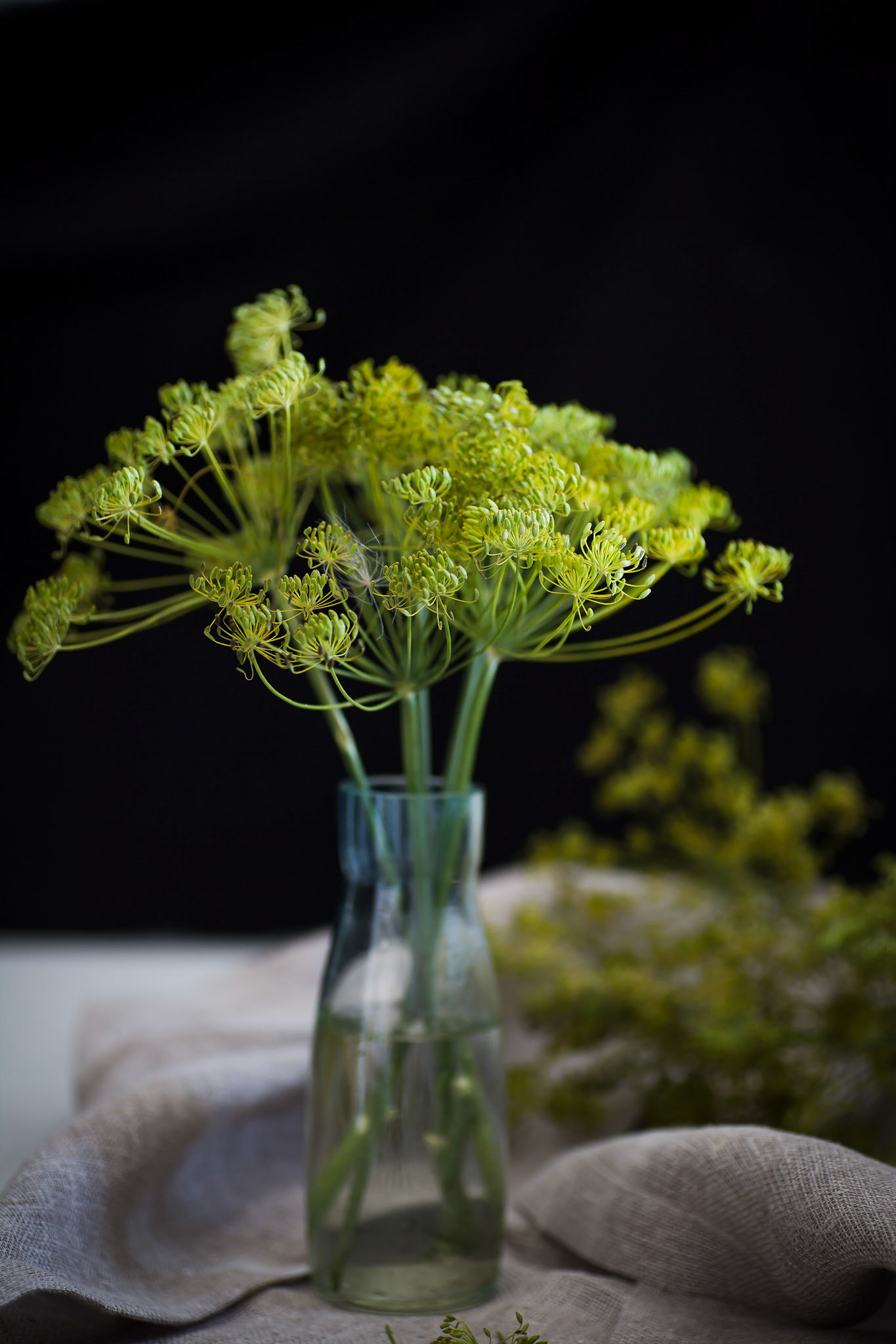 Dill flowers in a bottle with water.
