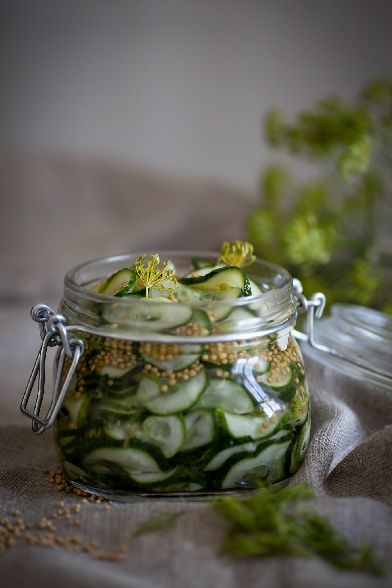 Home made, pickled cucumber in a jar of glass