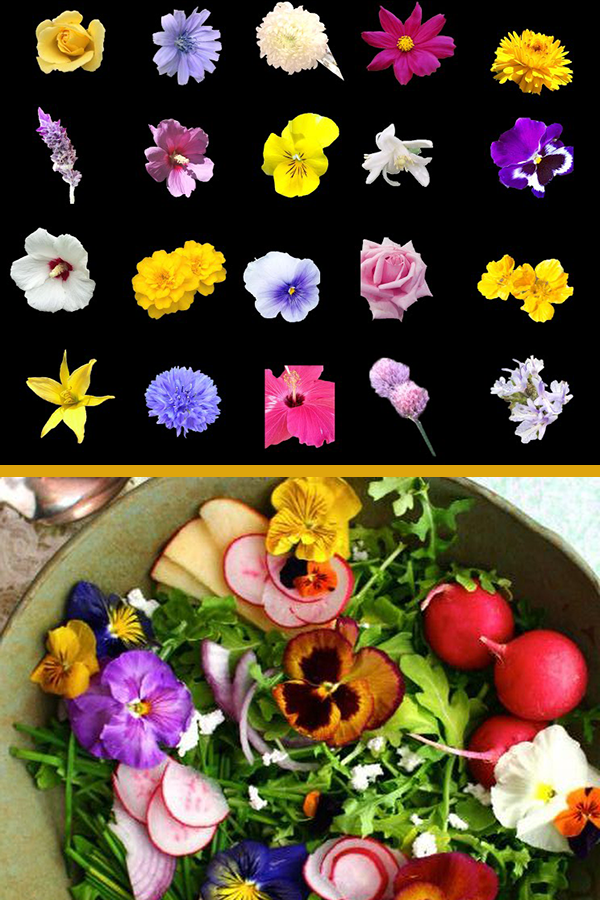 Flores comestibles