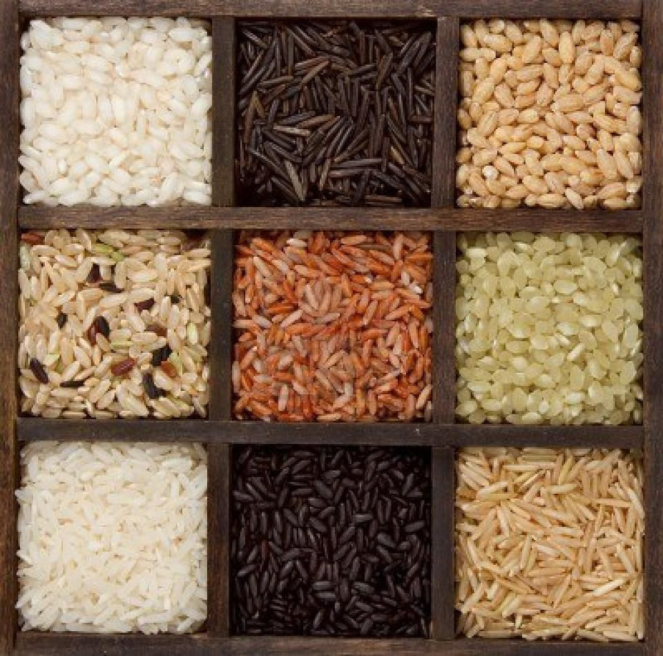 Arroz (diferentes tipos)