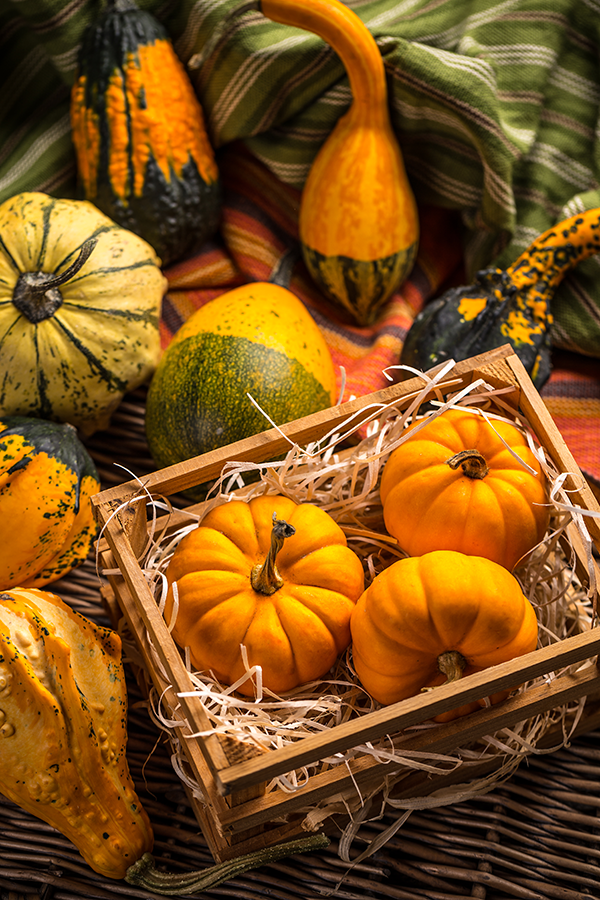 Calabaza