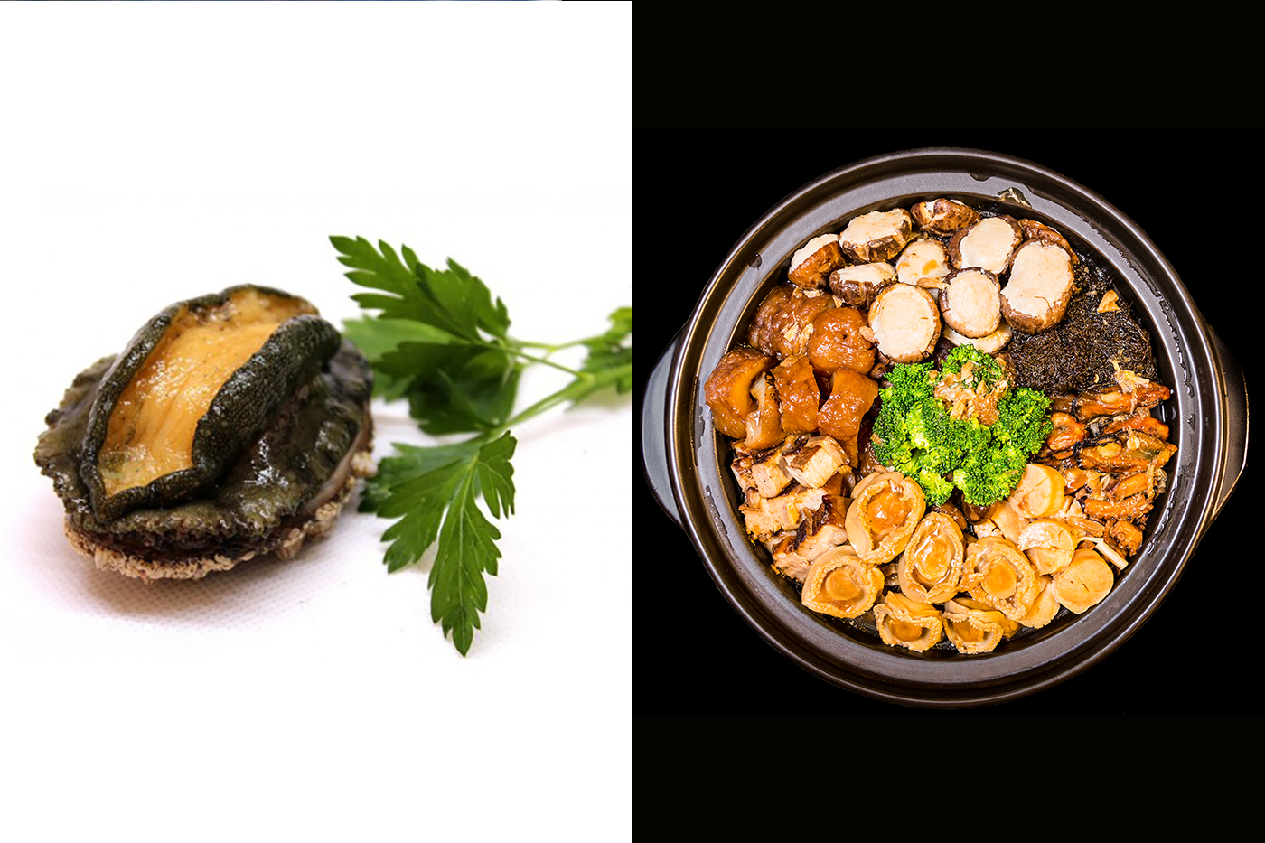 Abulón / Abalone