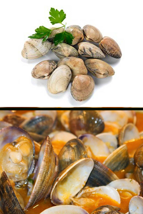 B) Almeja babosa (Ruditapes pullastra)
