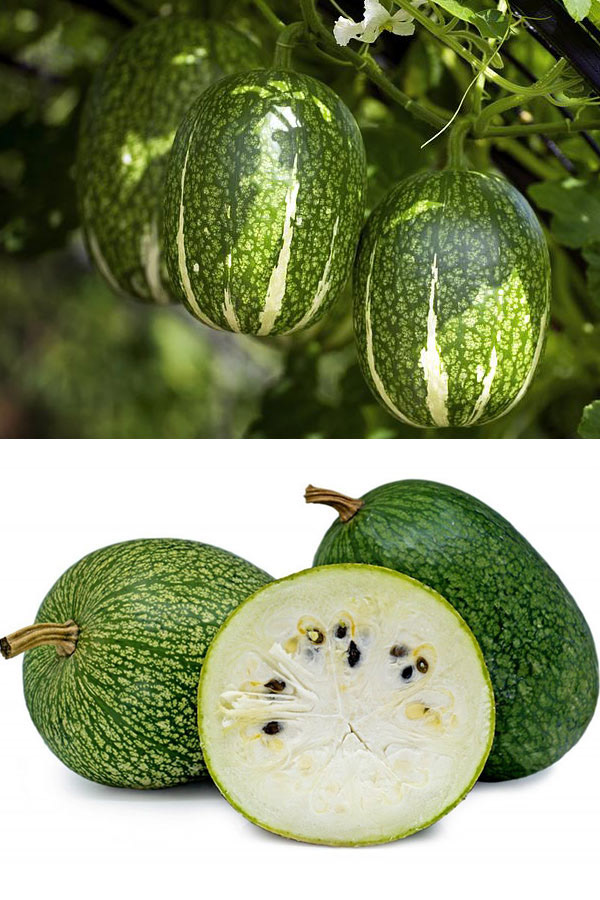 Cidra