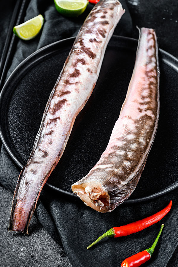 Anguila