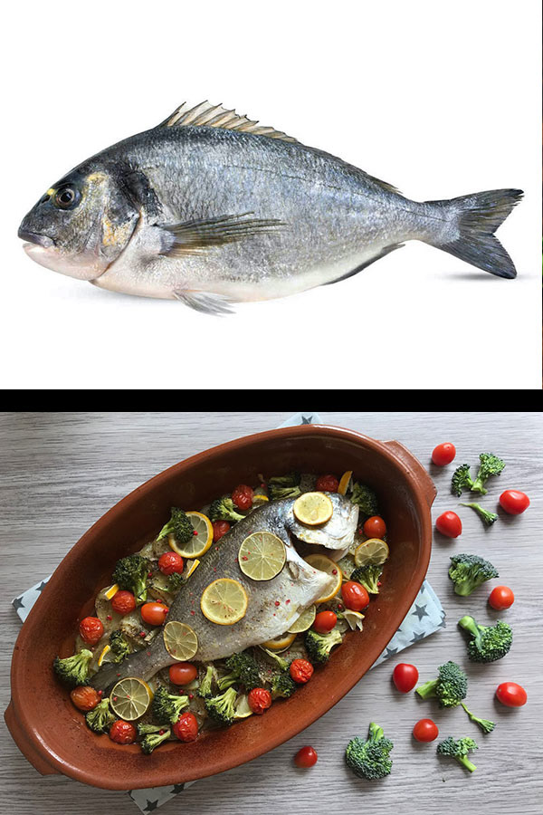 Dorada