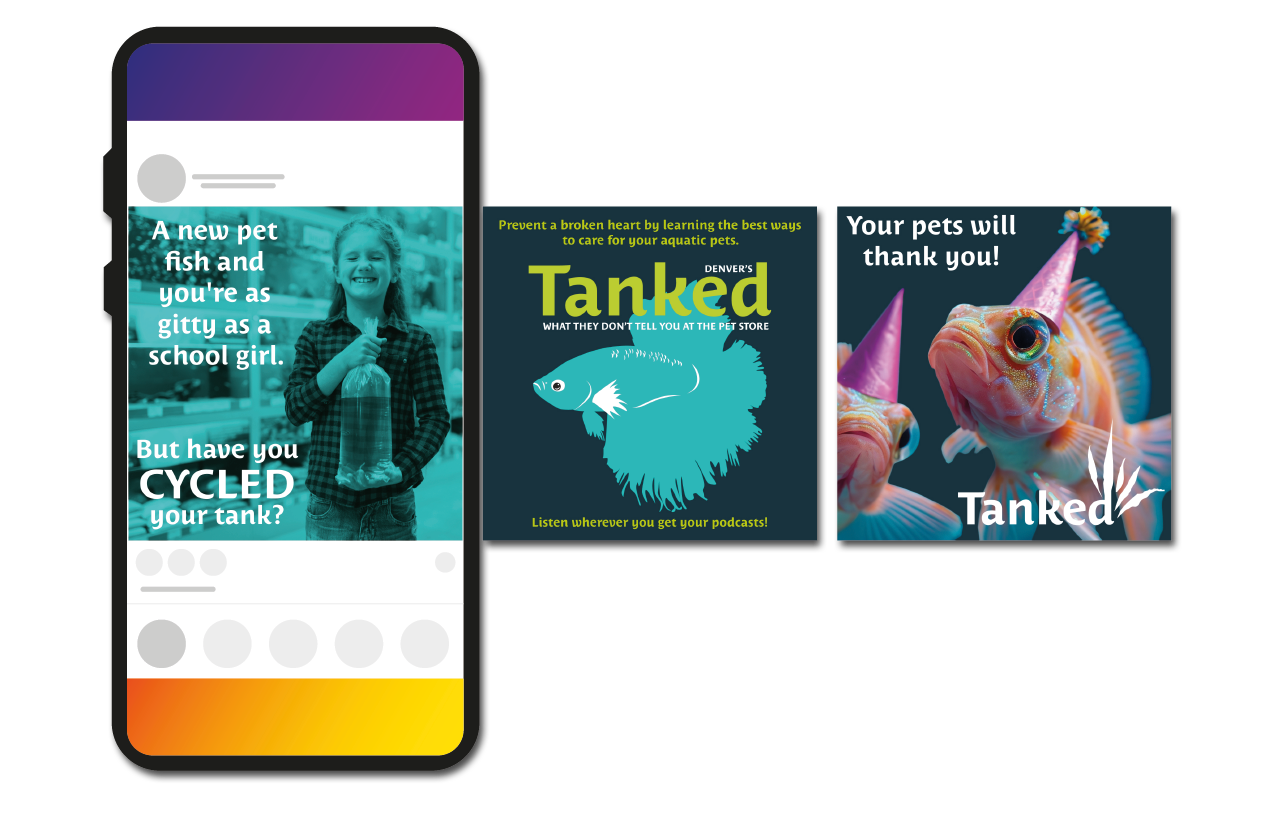INSTAGRAM CAROUSEL AD