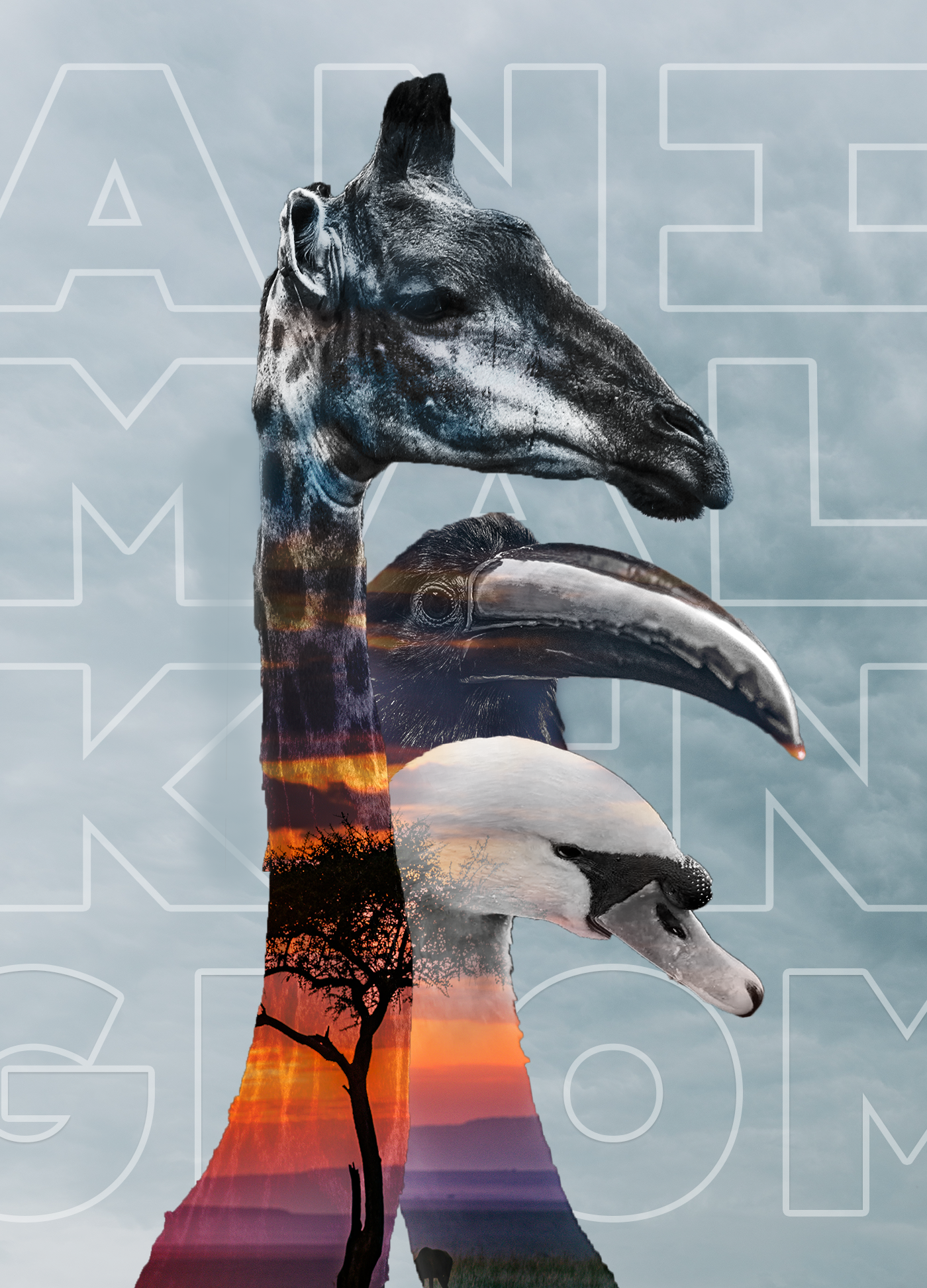 Animal Kingdom Poster