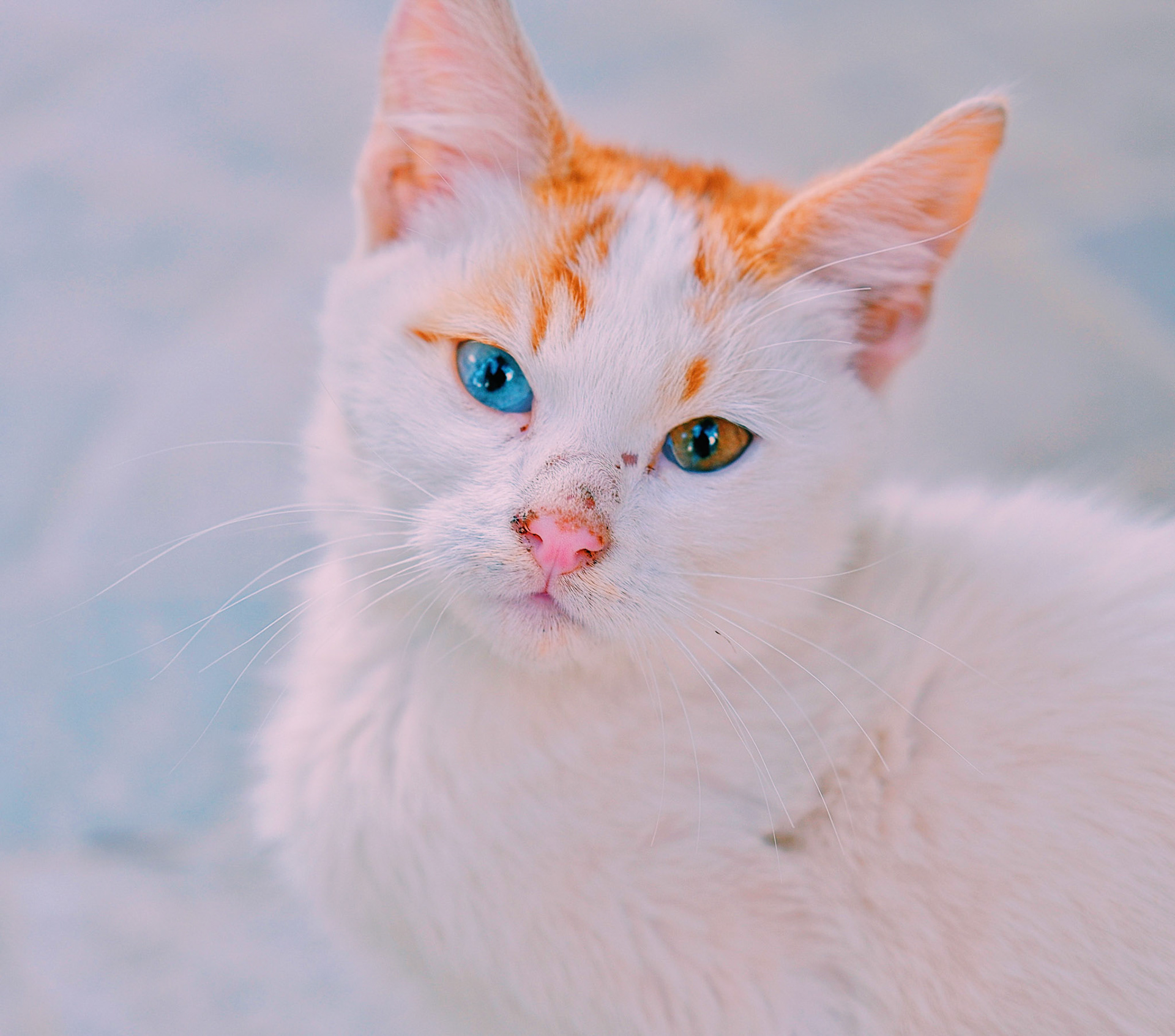 Processed with VSCO with c1 preset