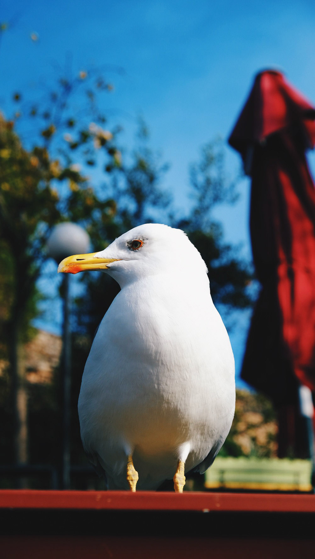 Processed with VSCO with hb2 preset