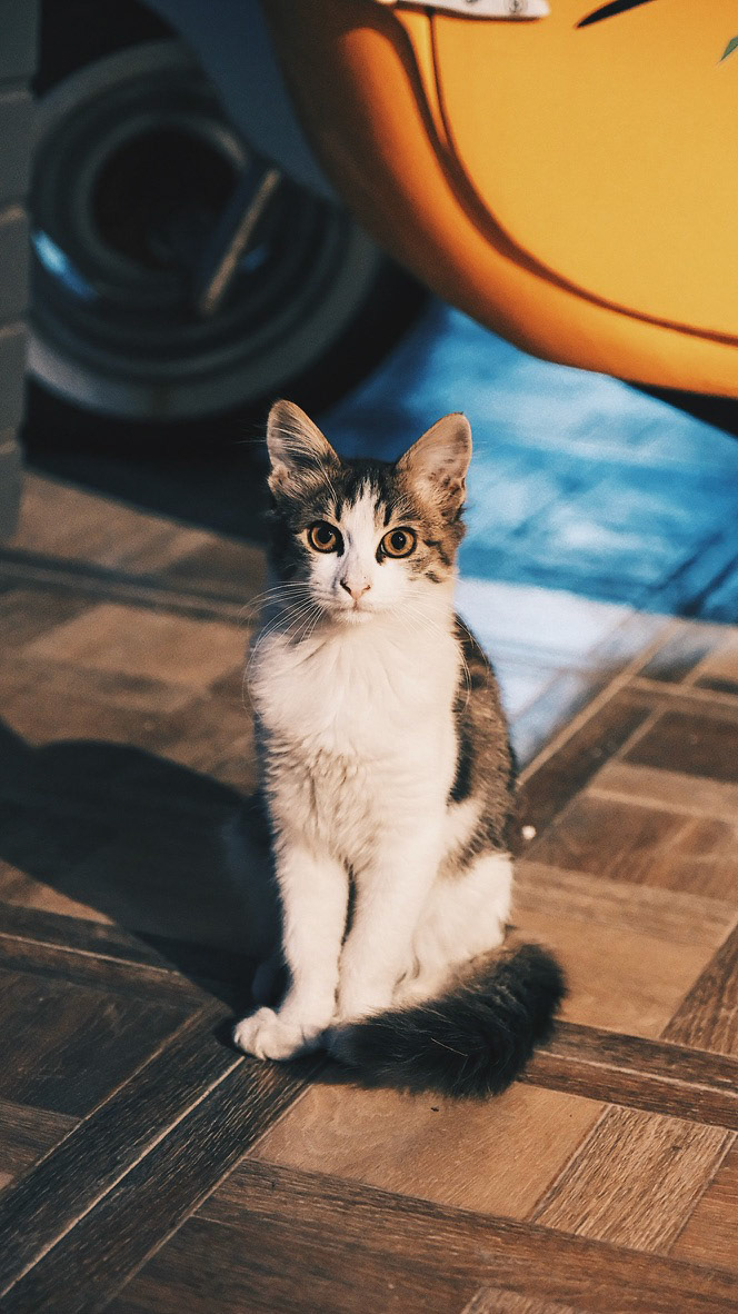 Processed with VSCO with hb2 preset