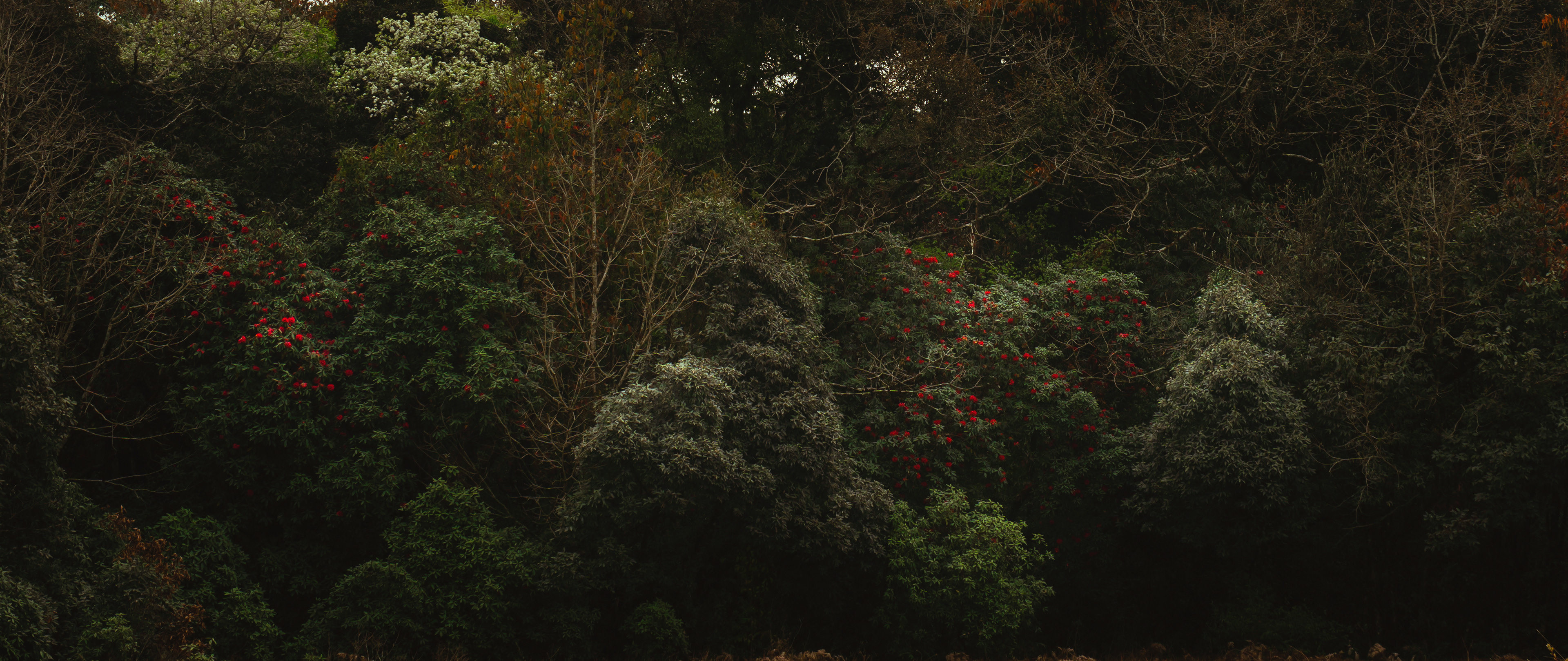 Patterns in Meghalaya