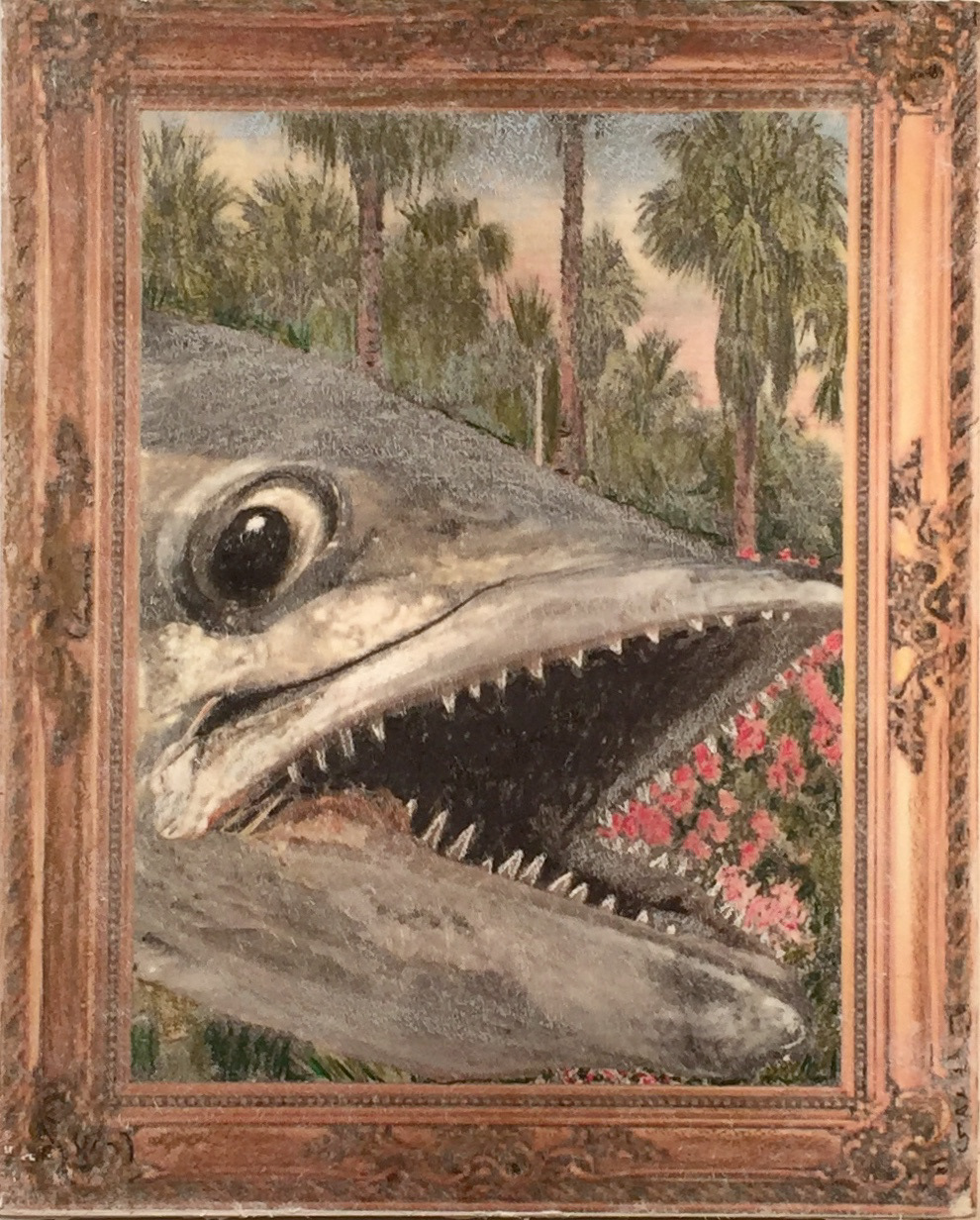Fish Portrait I