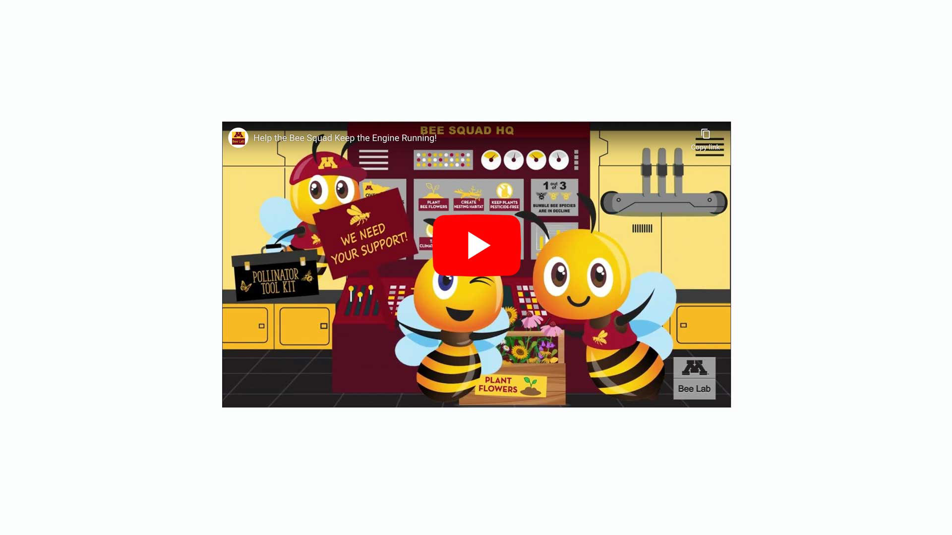 click to watch video