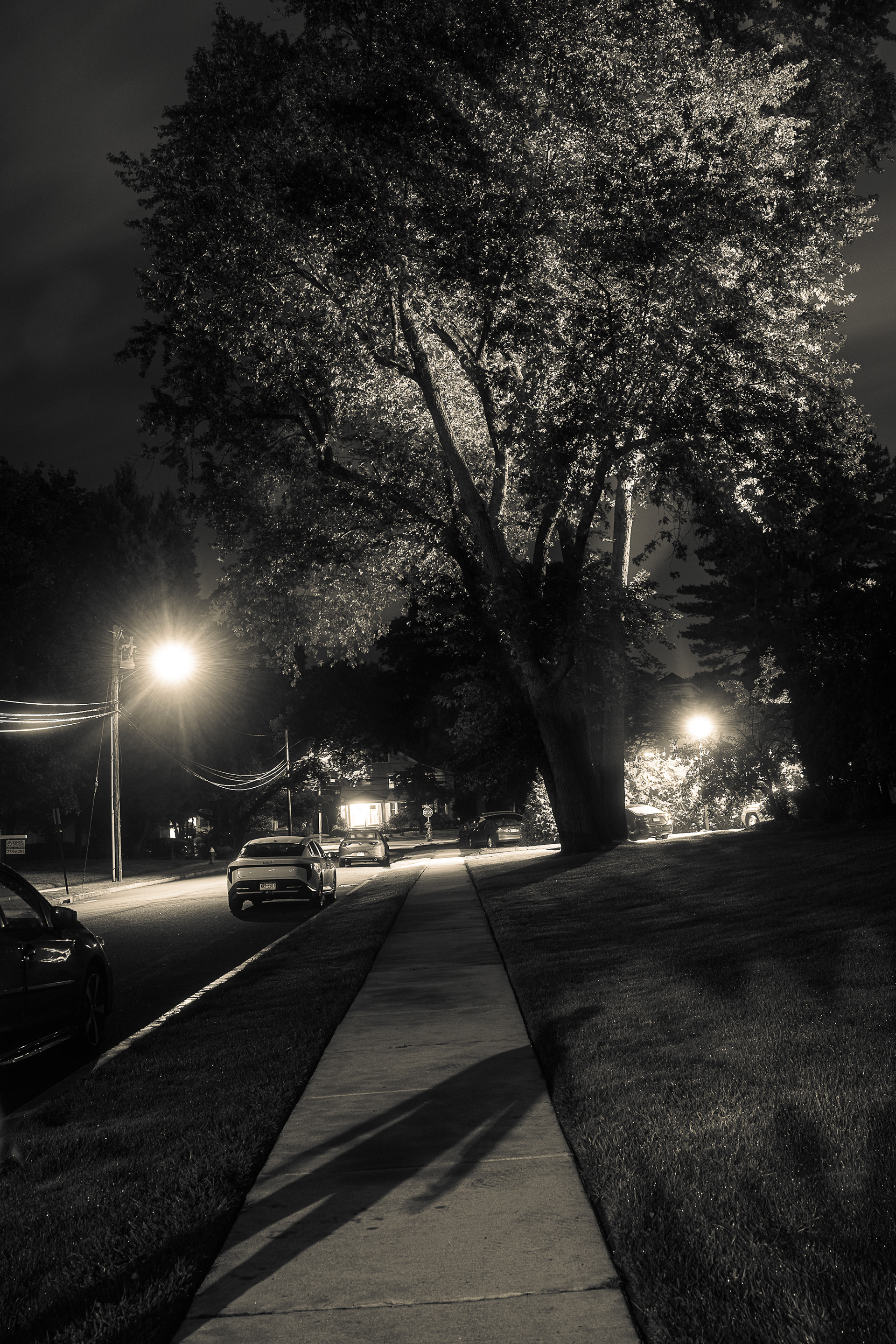 20260904-Exterior-0020-BW:7936A31A5EB9