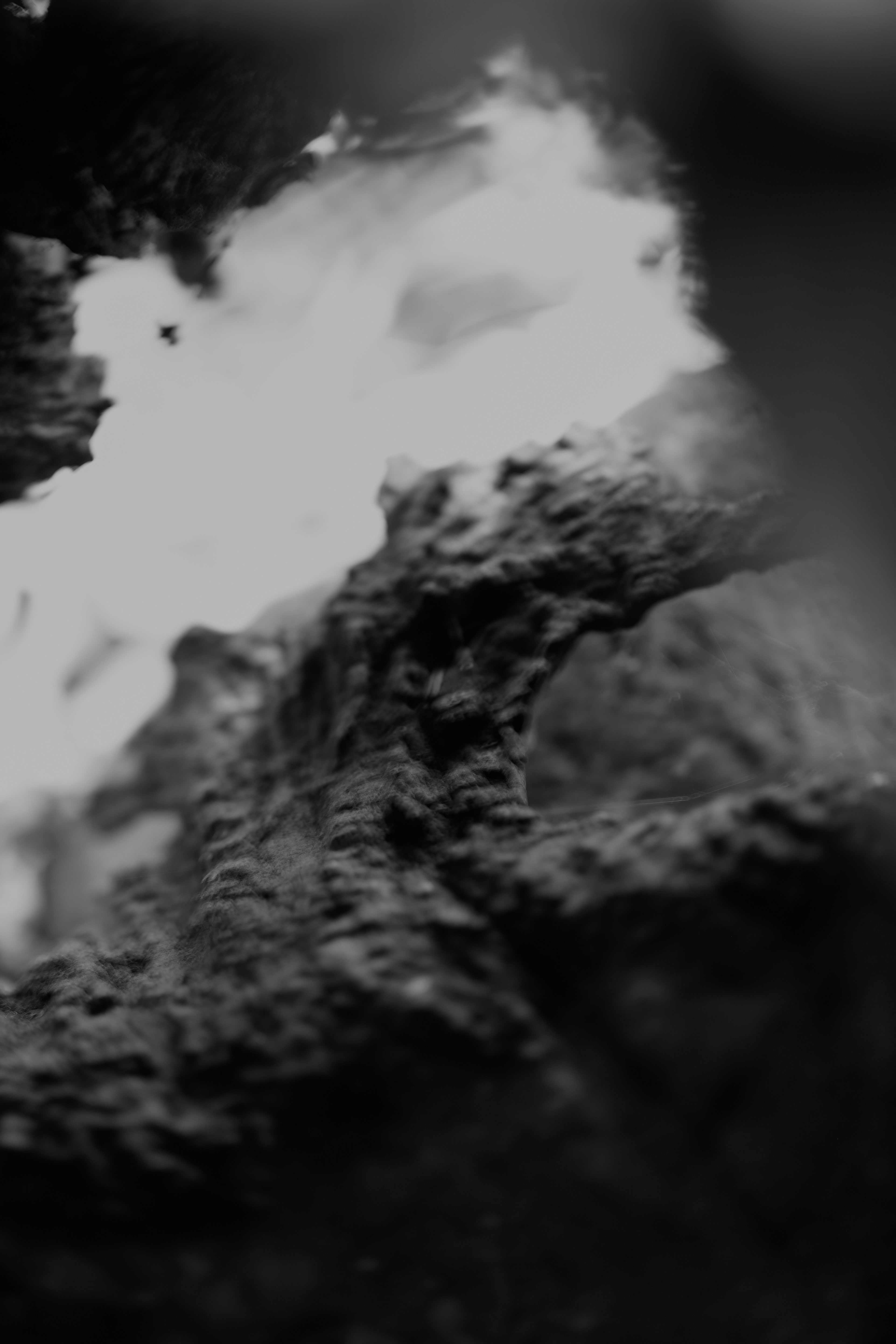 20260724-Exterior-0011-BW