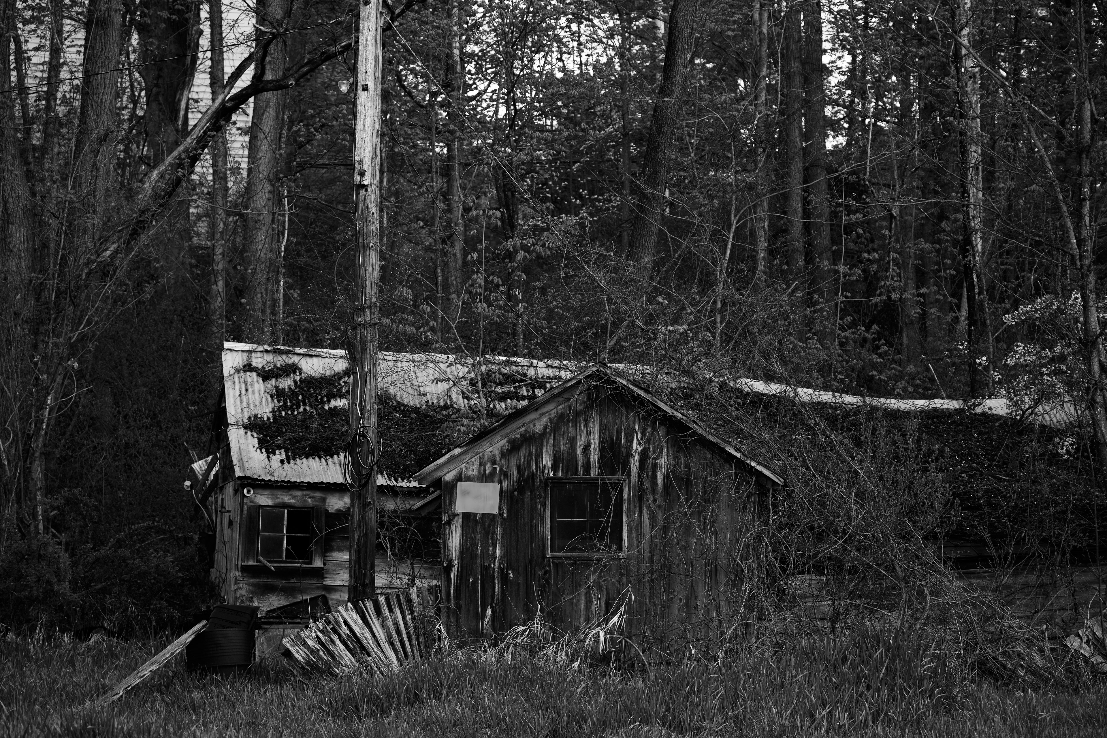 Lost
