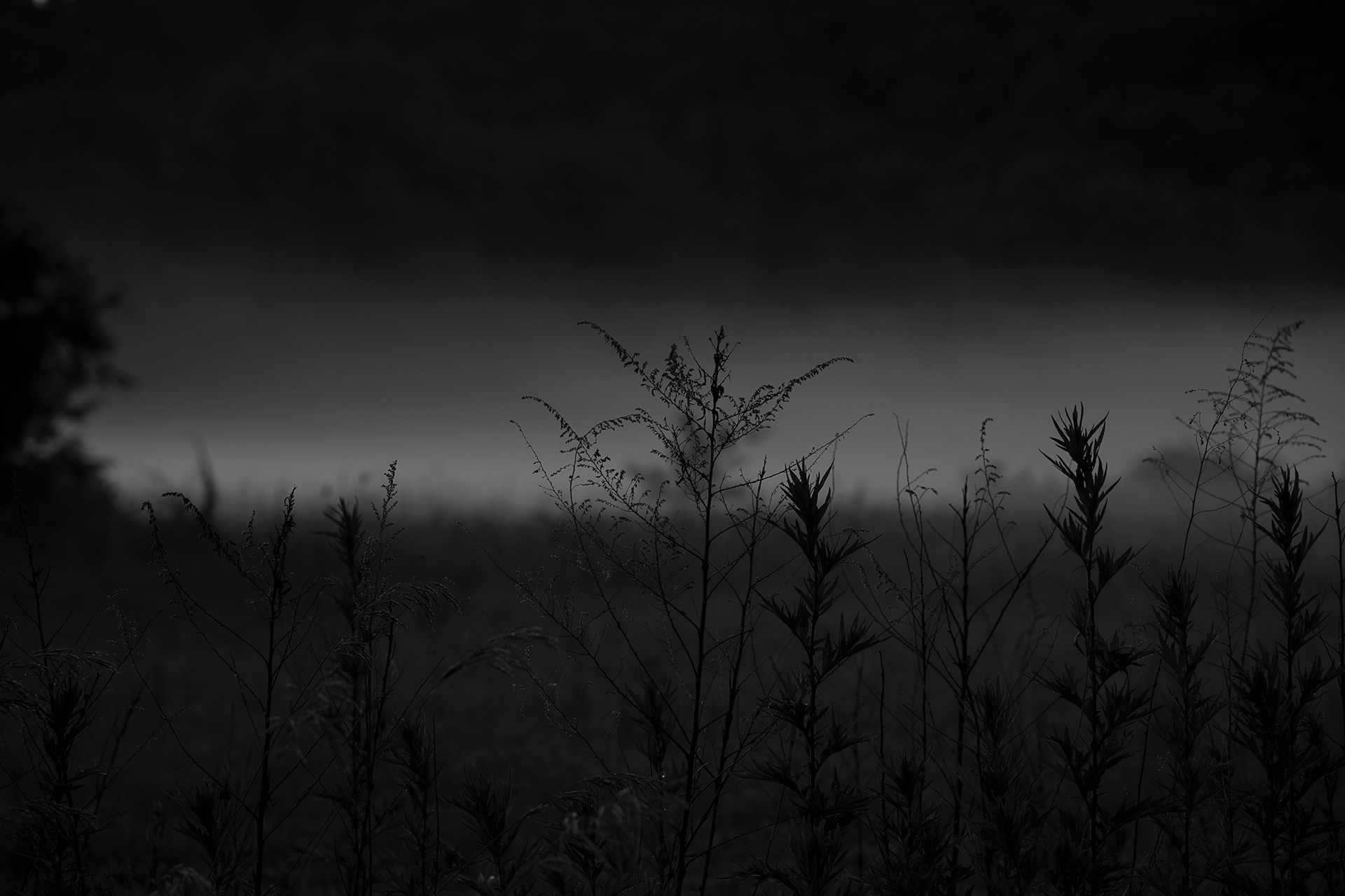 20260621-Exterior-0077-BW_BA35852FB5D9