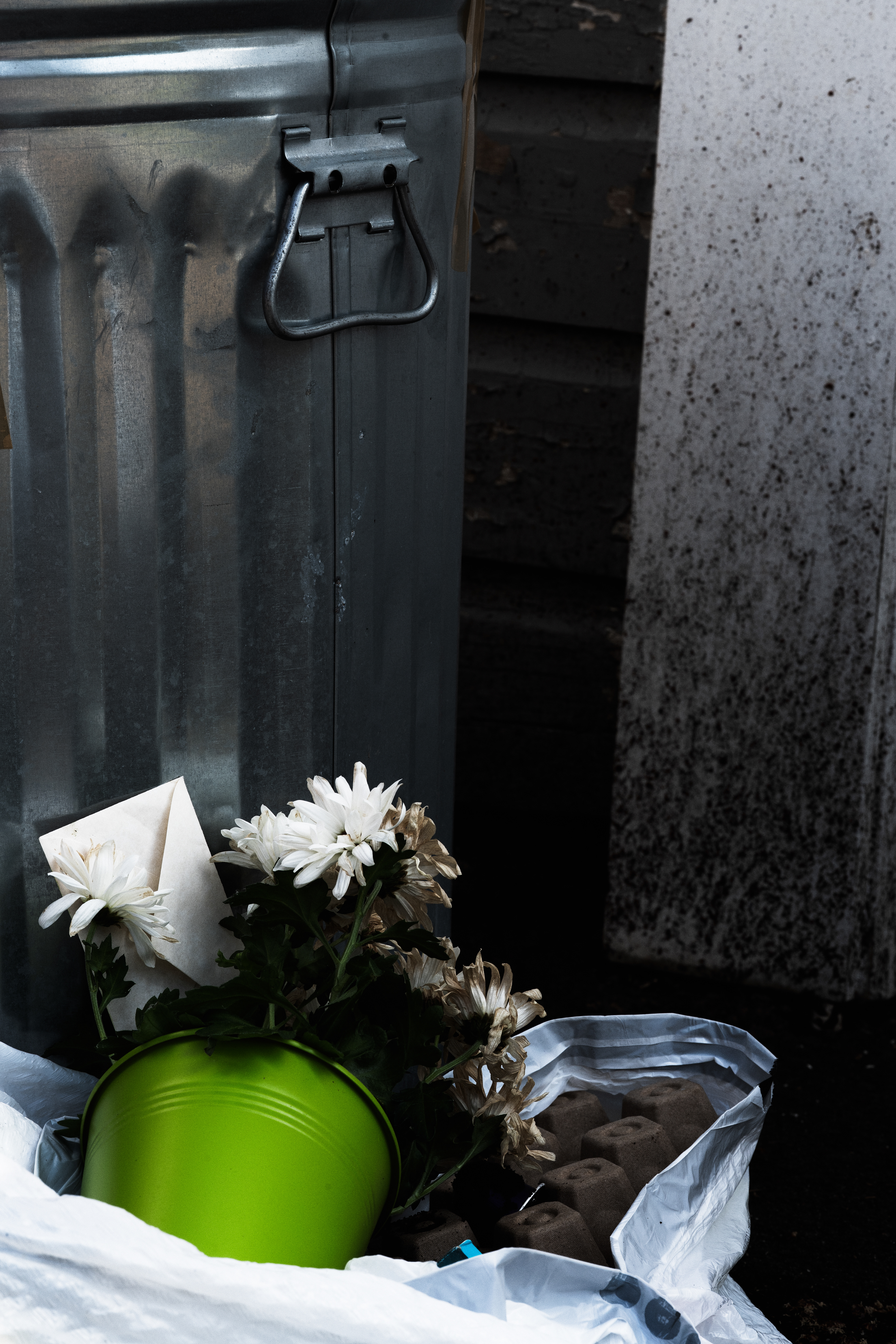 04-Apr Daisys. Refused