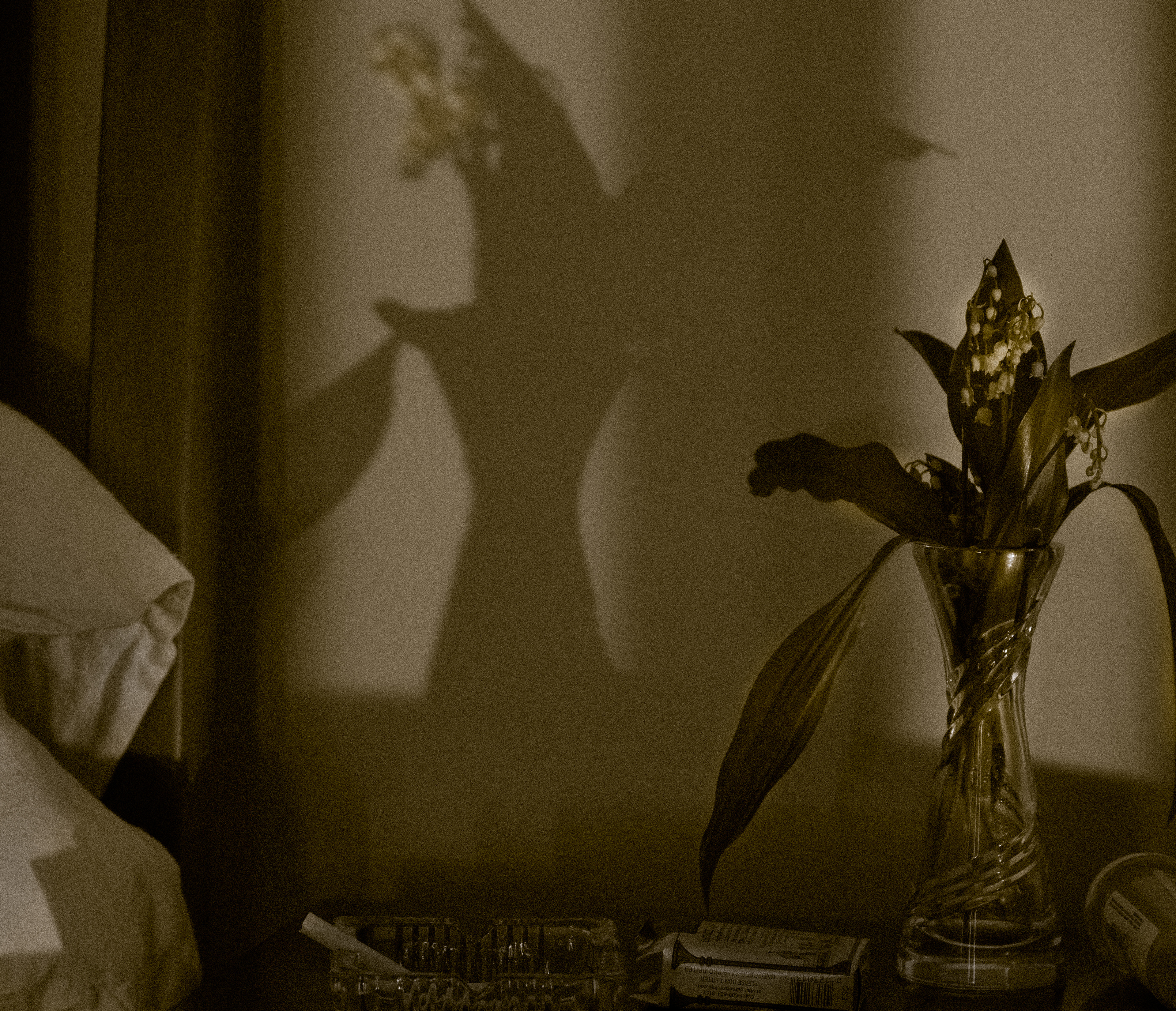 05-May Lily of the Valley. Night Table